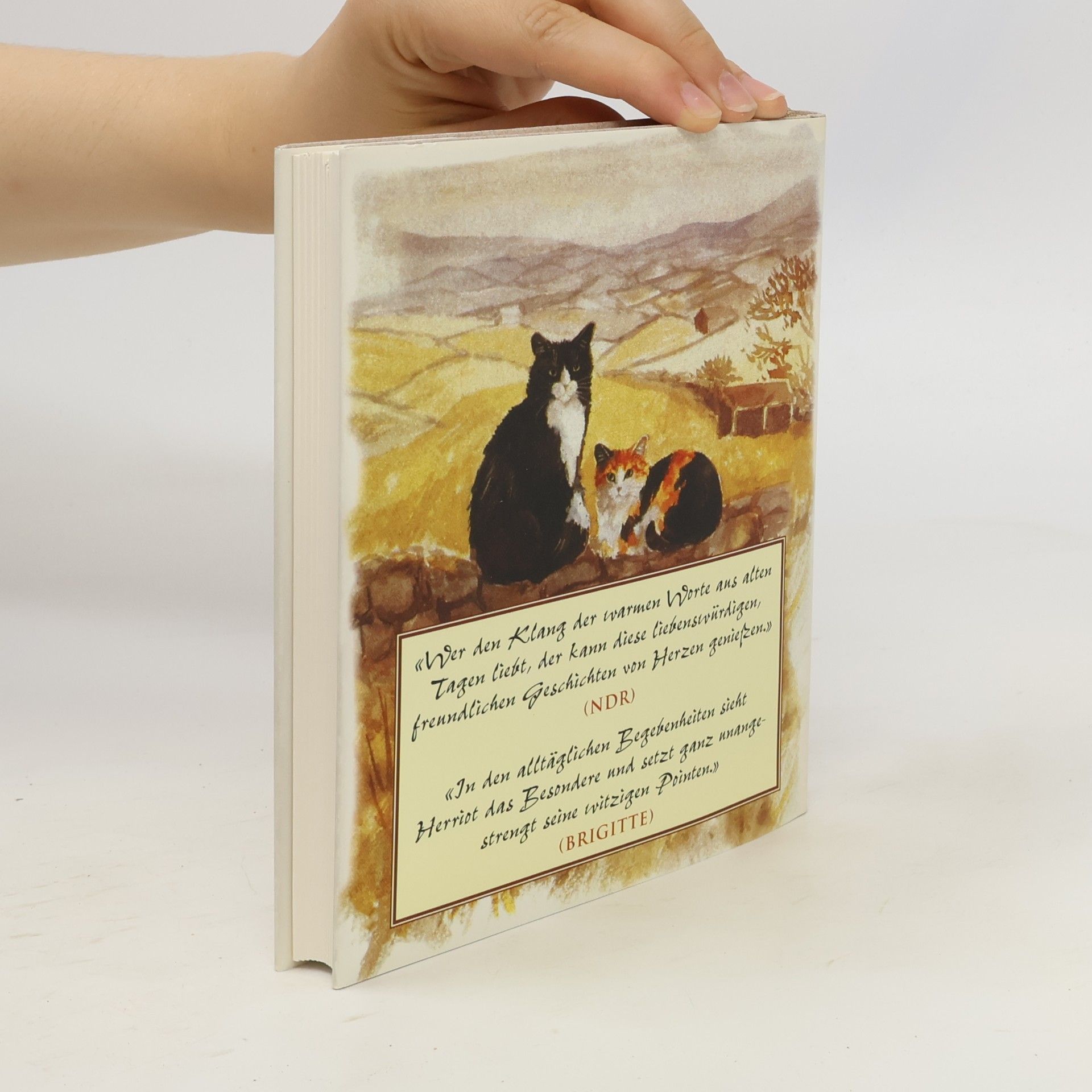James Herriot Alles für die Katz