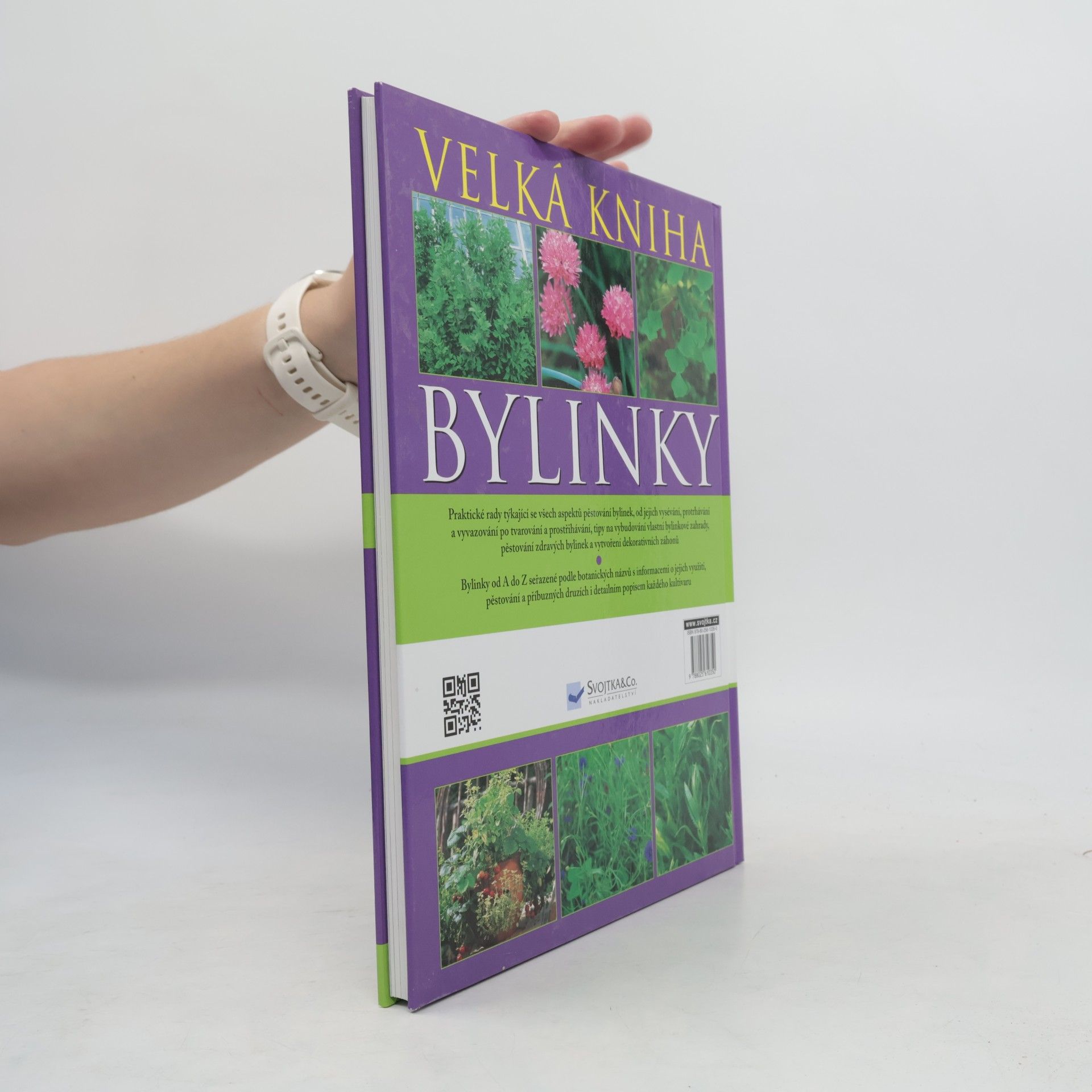 A. M. Clevely Bylinky. Velká kniha