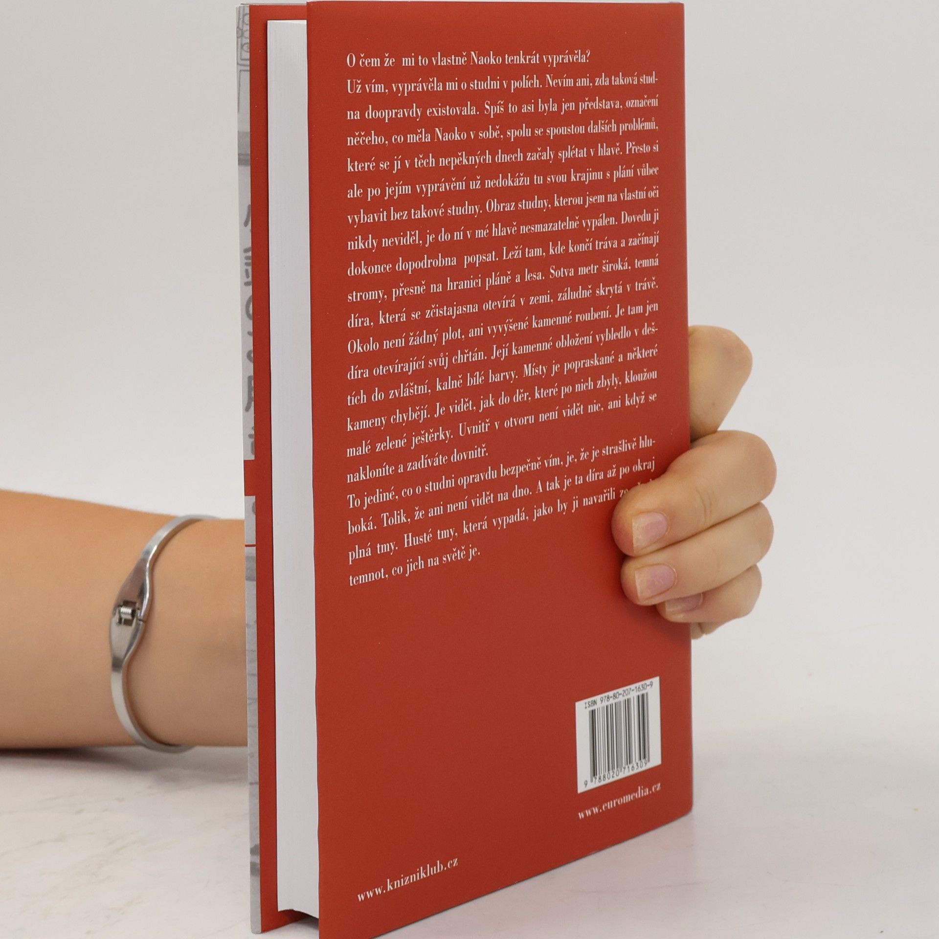 Haruki Murakami Norské dřevo