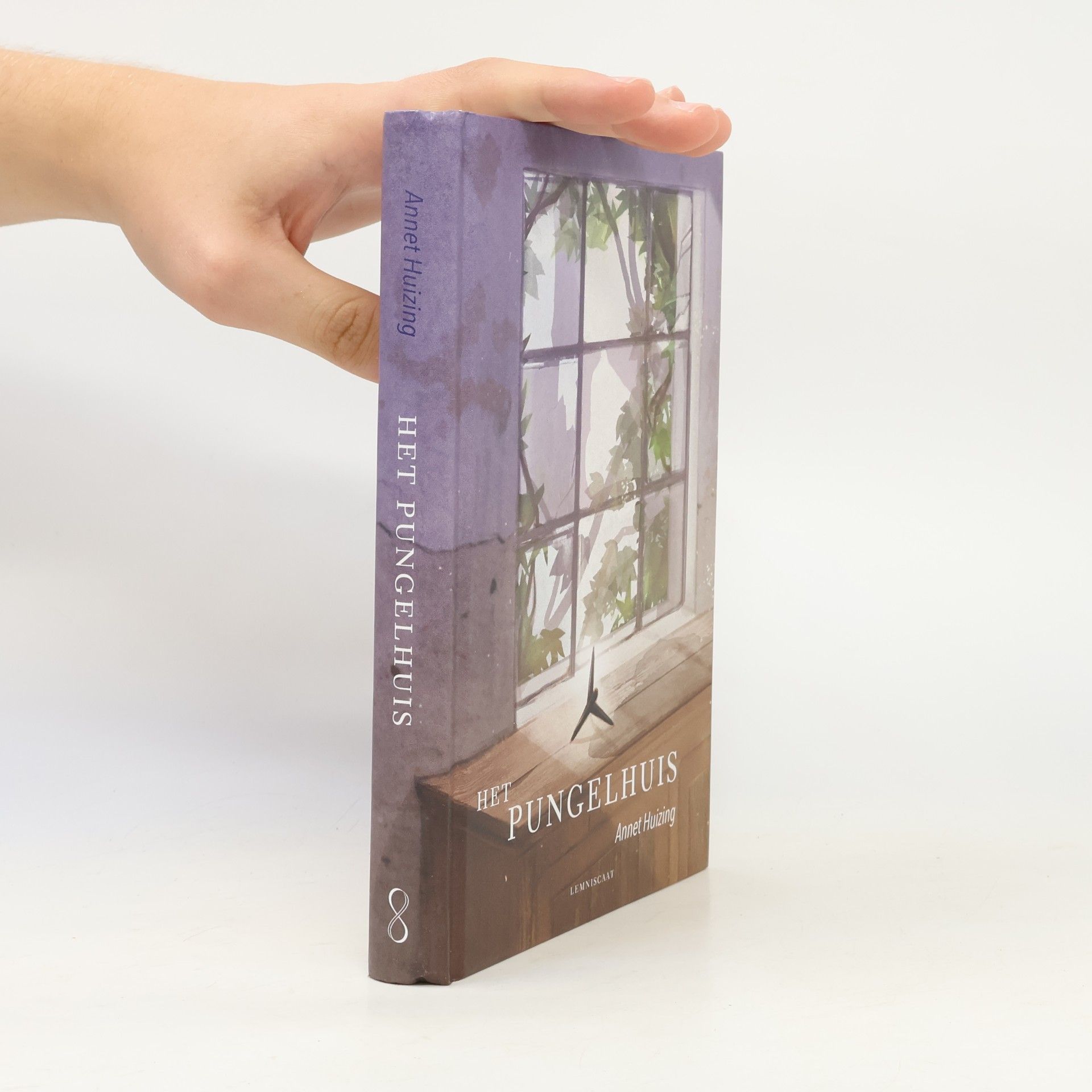 Annet Huizing Het pungelhuis