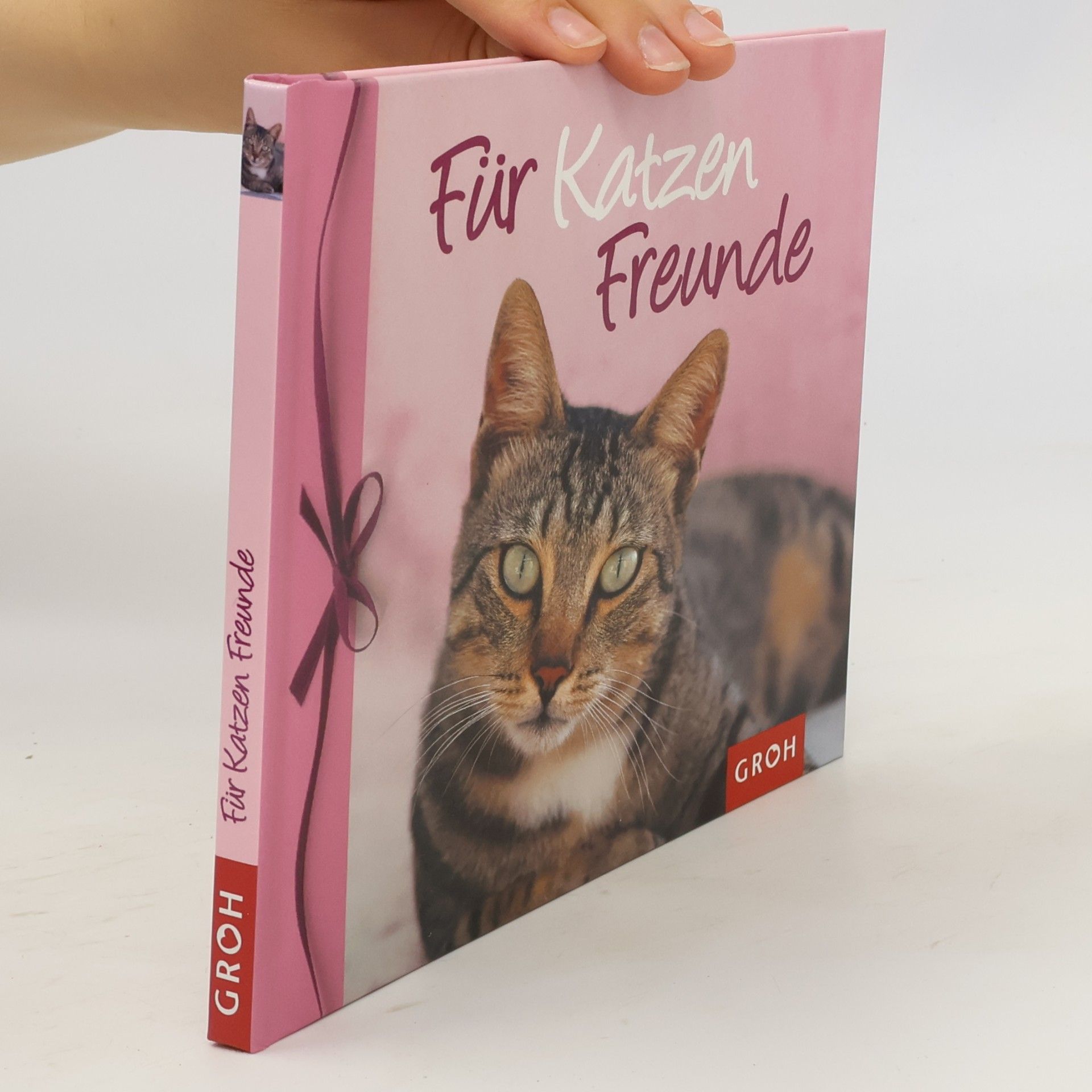 Nina Sandmann Für Katzen-Freunde