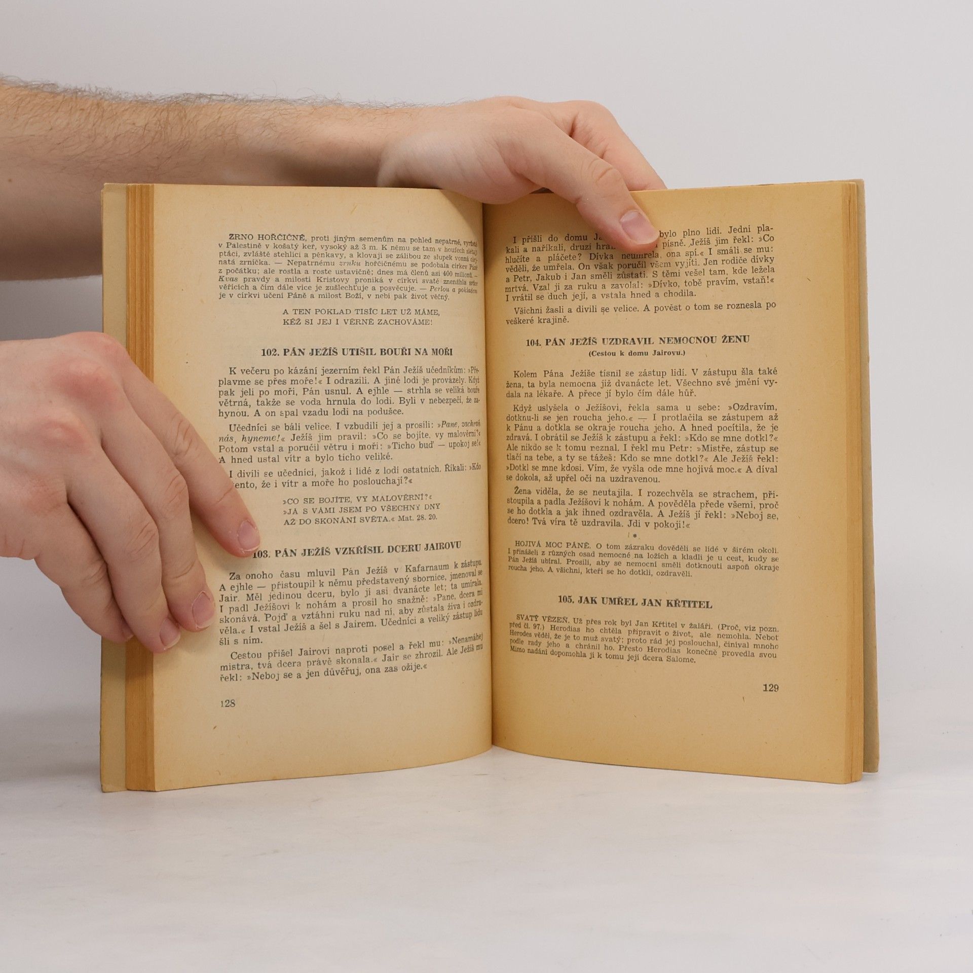 Václav Kubíček Biblické dějiny