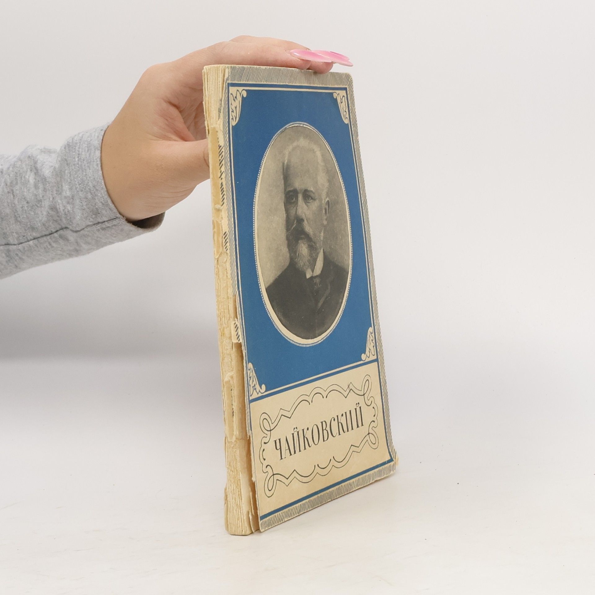 Autorenkollektiv Петр Ильич Чайковский 1840 -1893