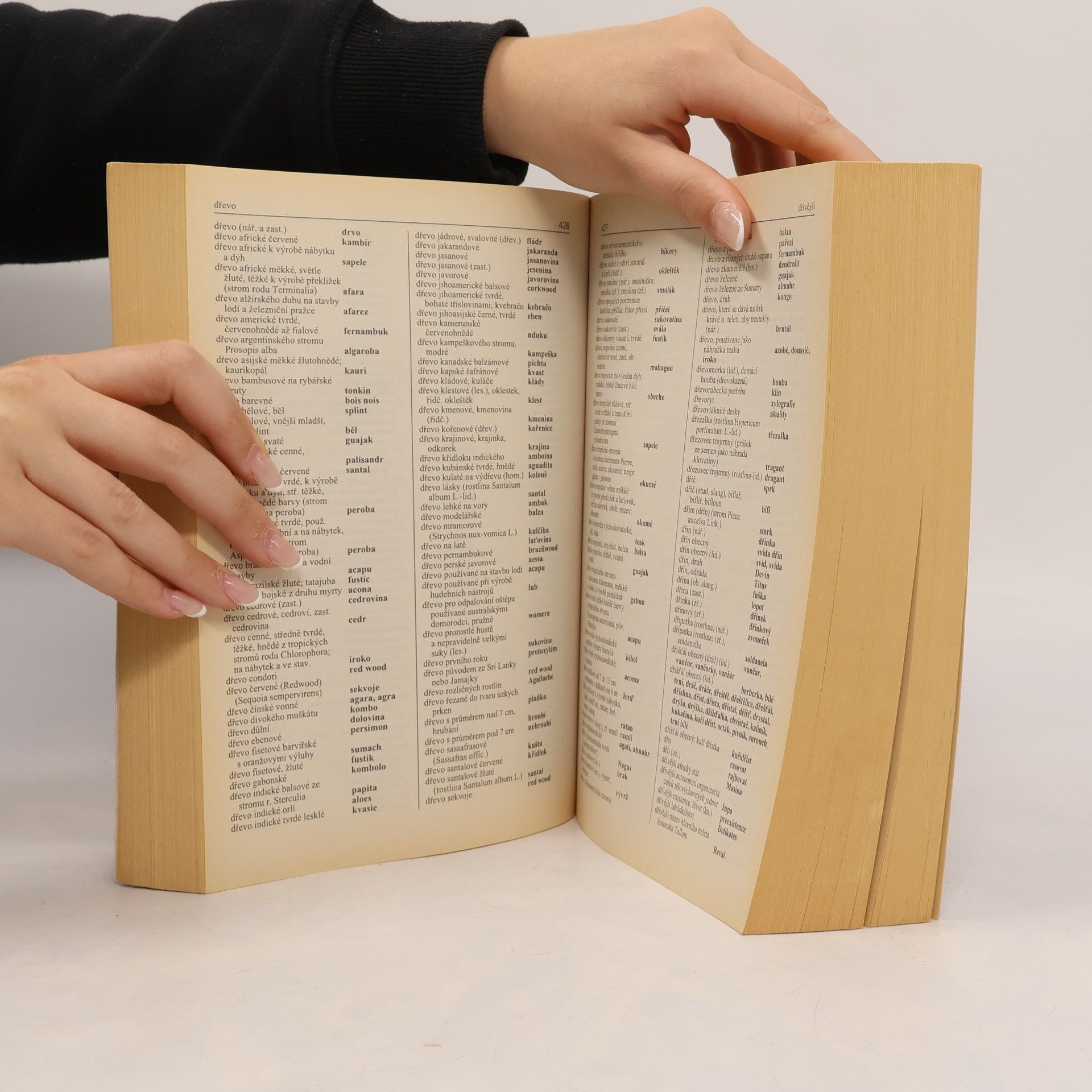 Karel Čálek Velký křížovkářský slovník. [I.], A-N