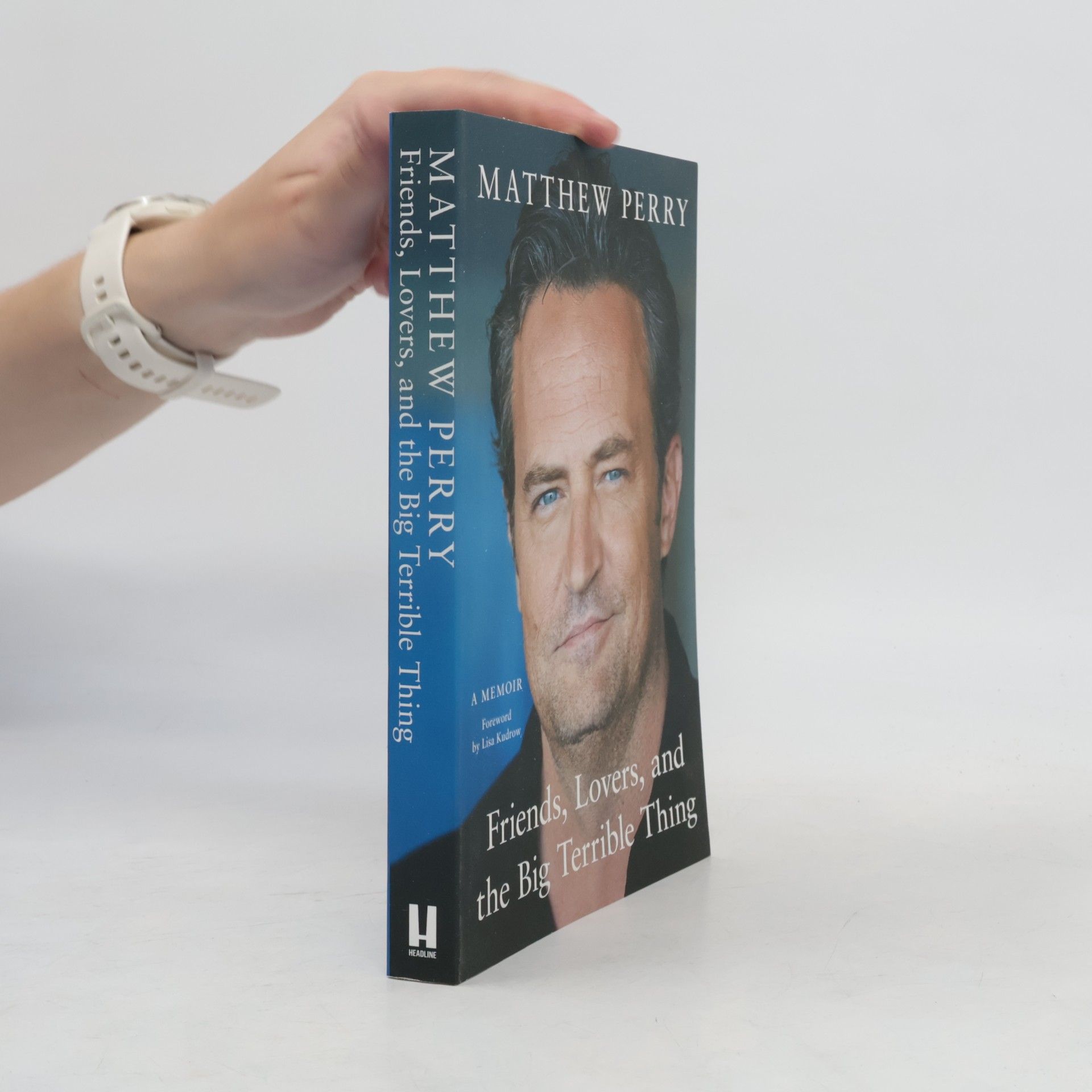 Matthew Perry Friends, lovers, and the big terrible thing