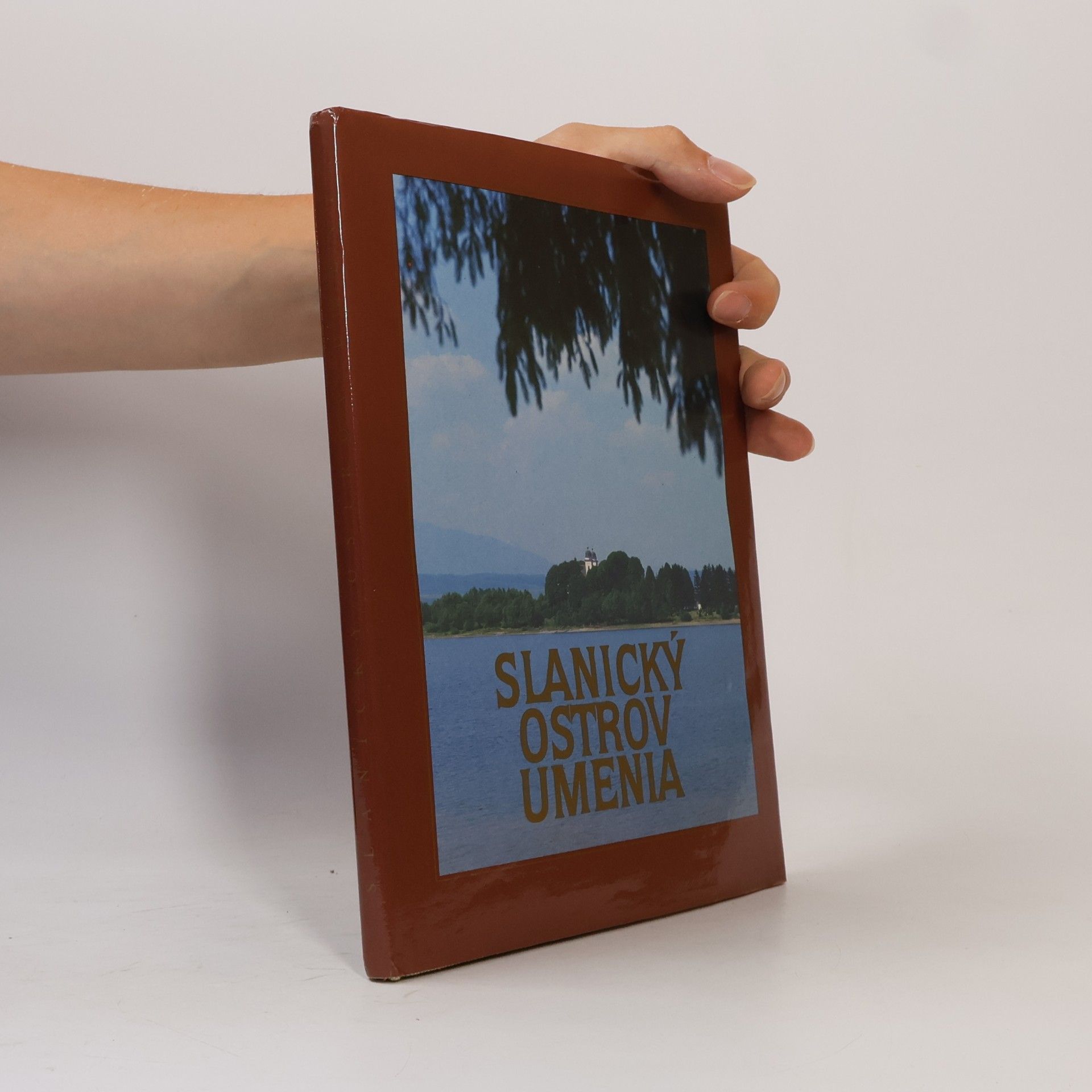 Eva Ľuptáková Slanický ostrov umenia