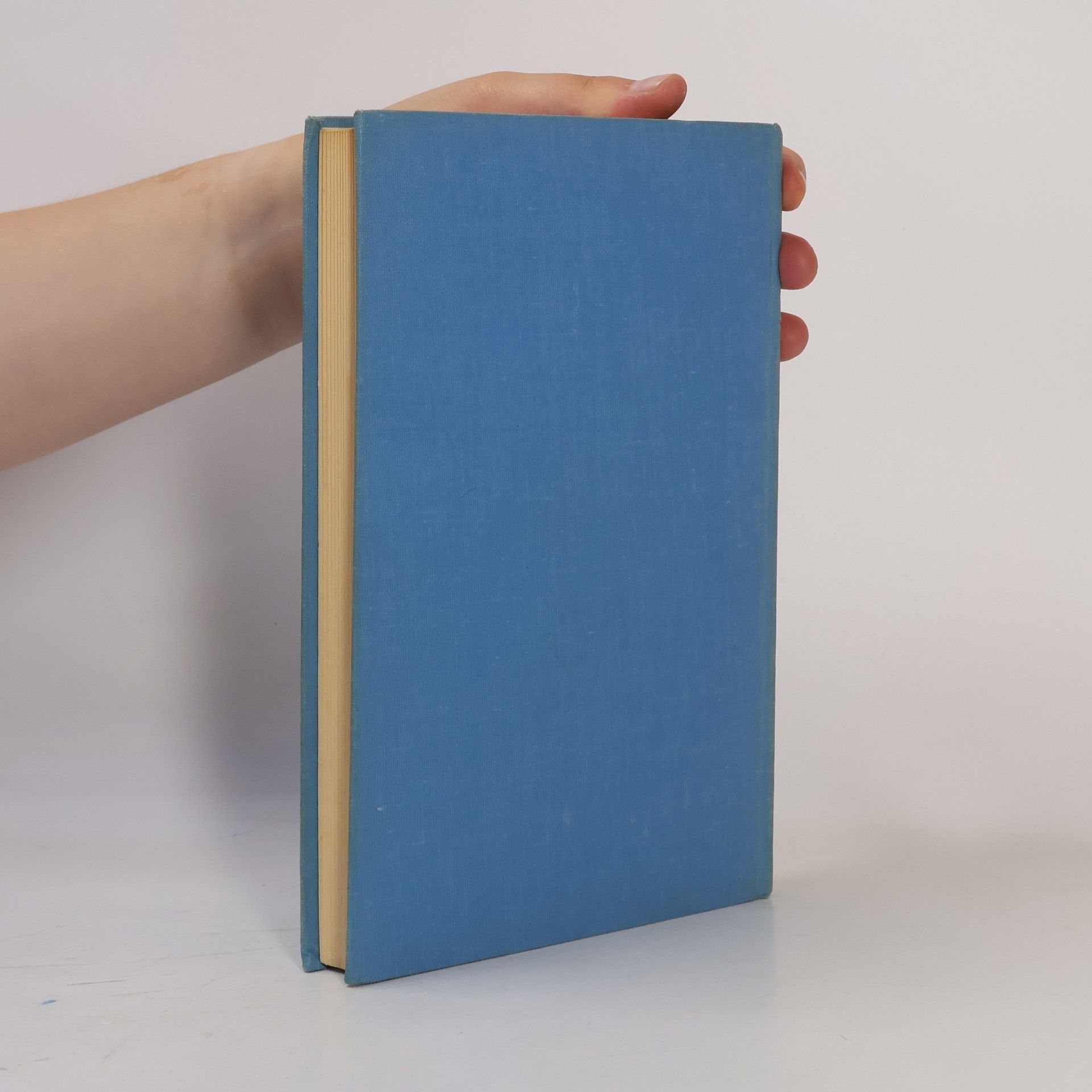 Paul Tillich Sein und Sinn