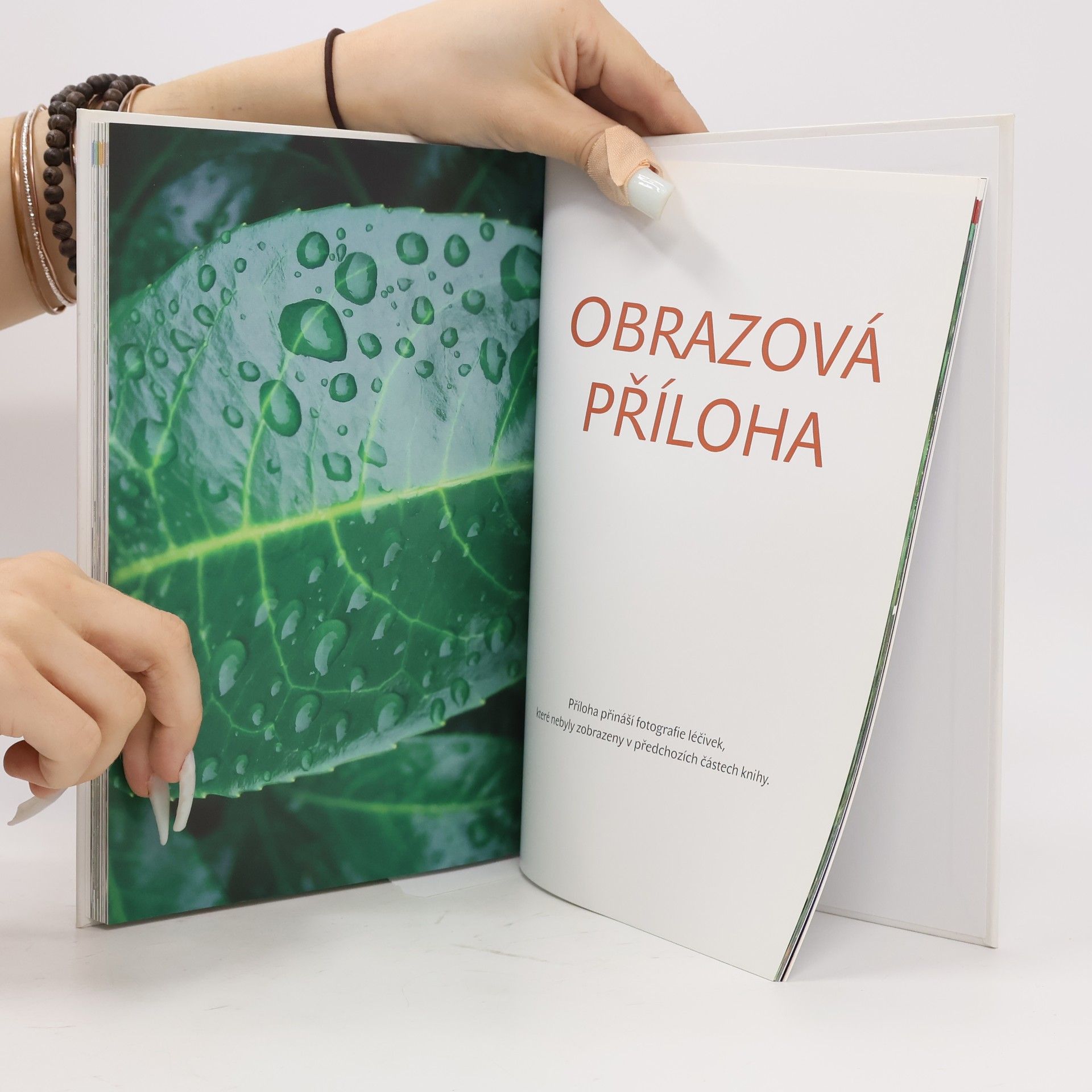 Jiří Janča Praktické kalendárium alternativní medicíny