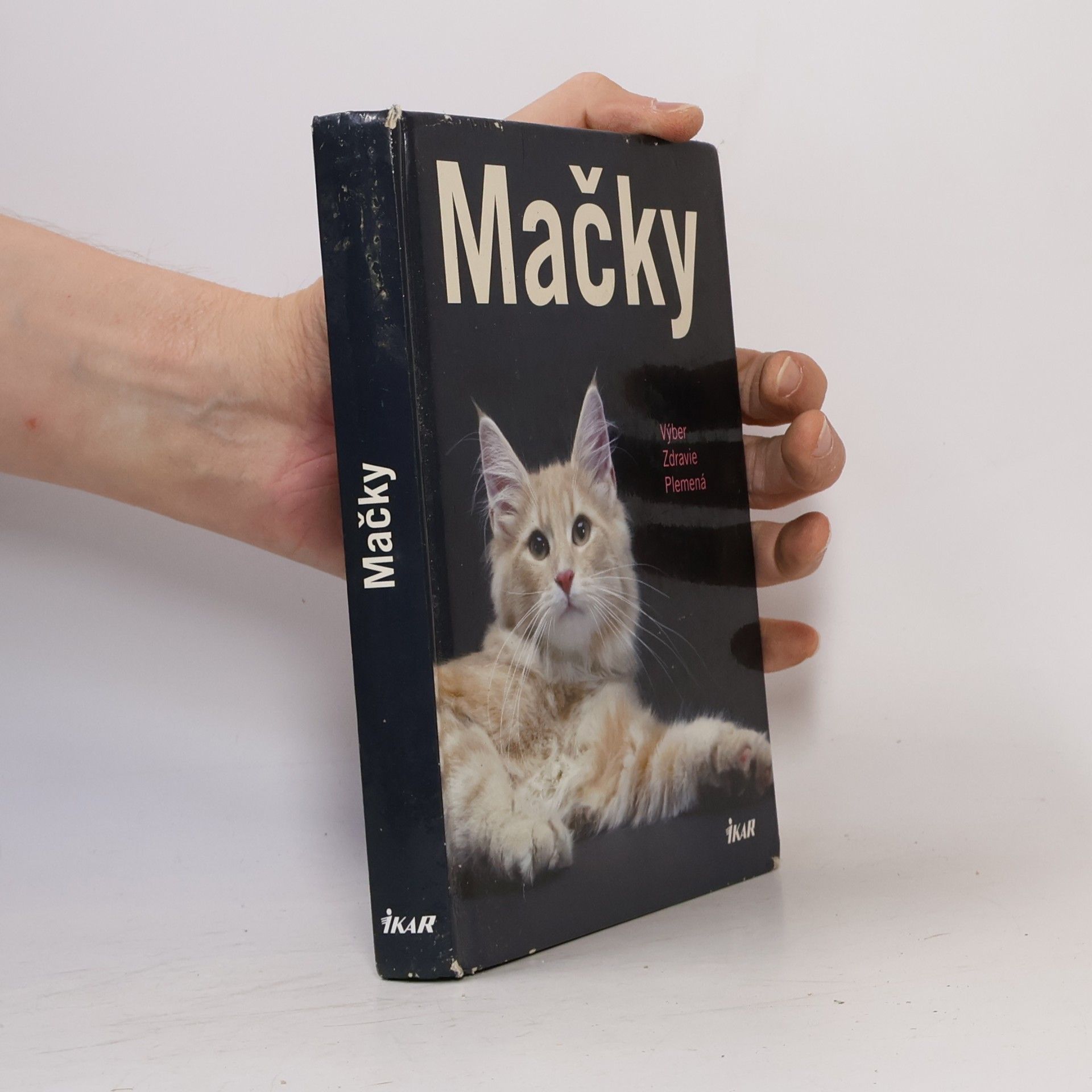 Mačky