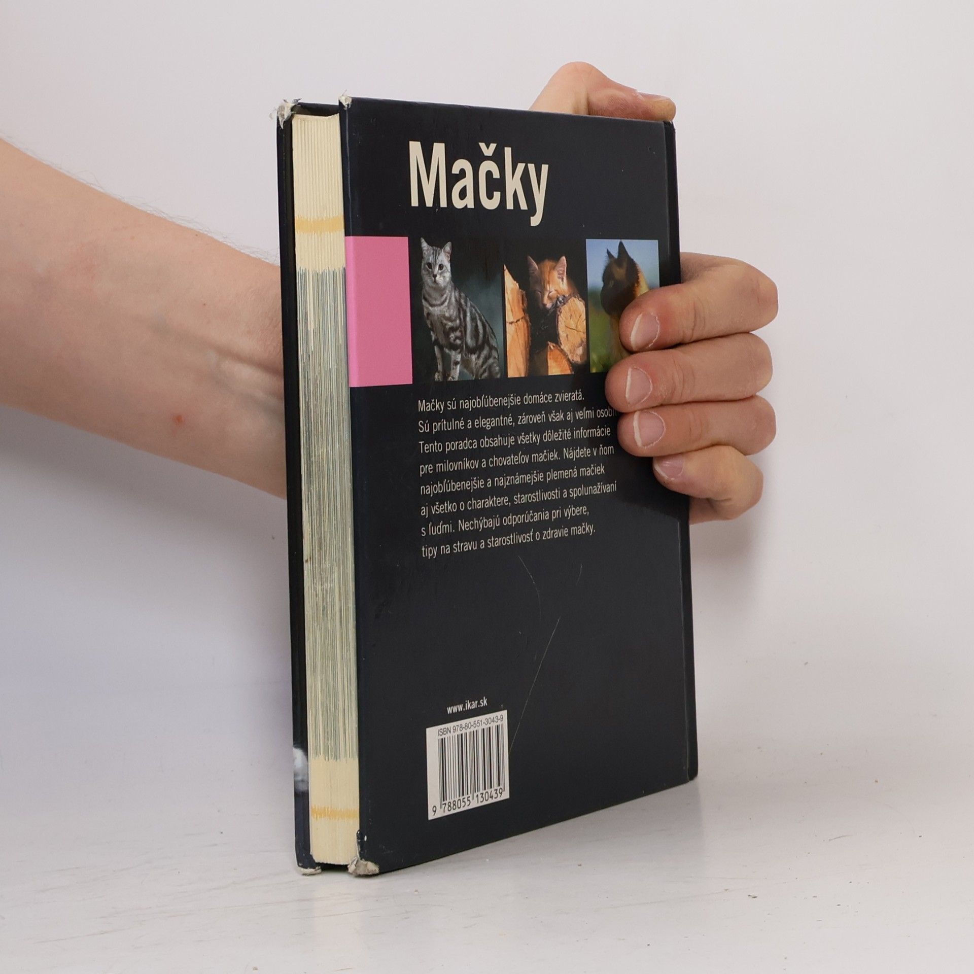 Antje Breuer Mačky