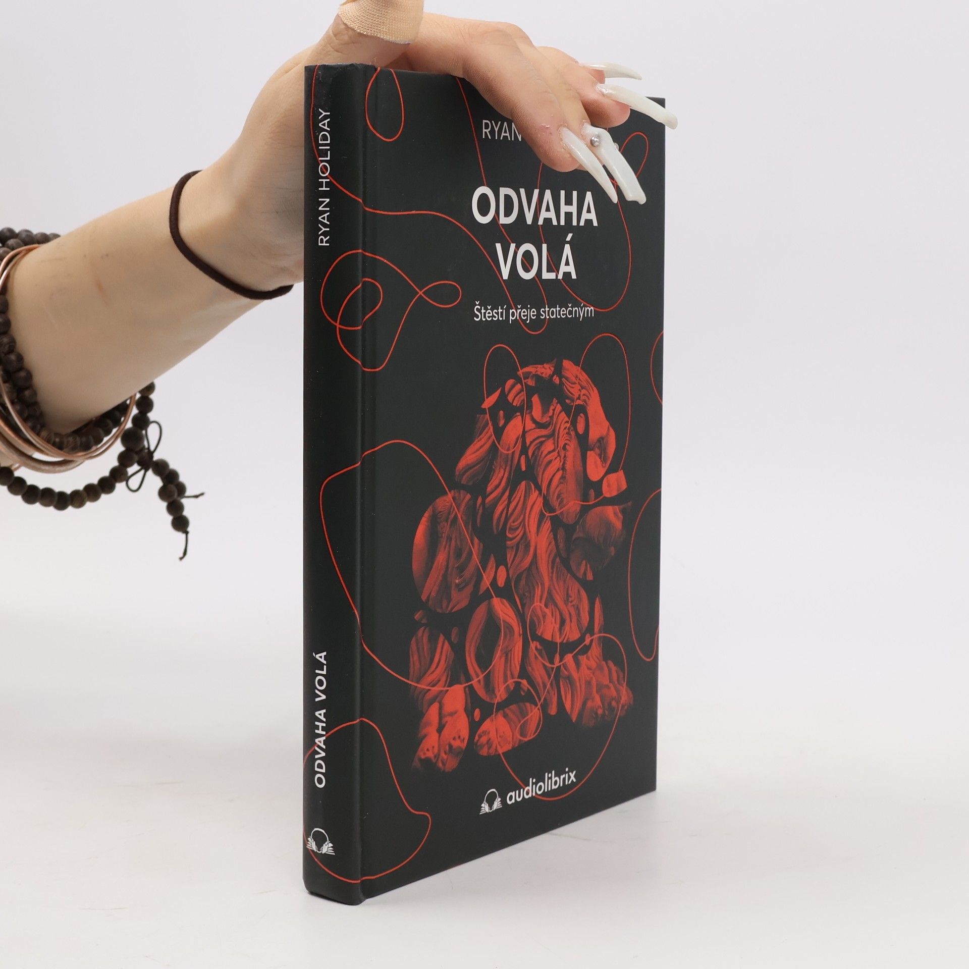 Ryan Holiday Odvaha volá : štěstí přeje statečným