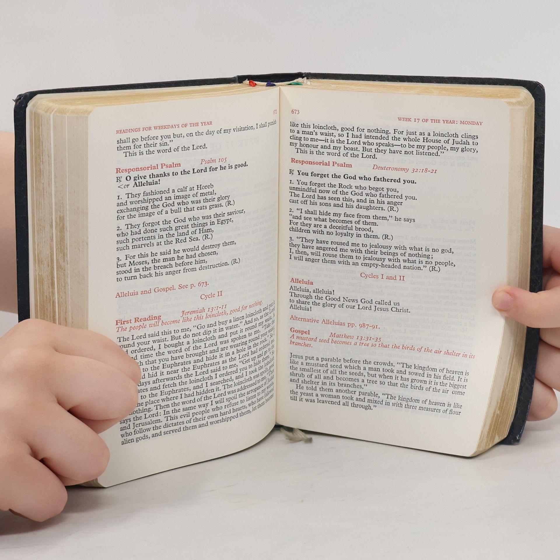 Kolektív autorov The Weekday Missal