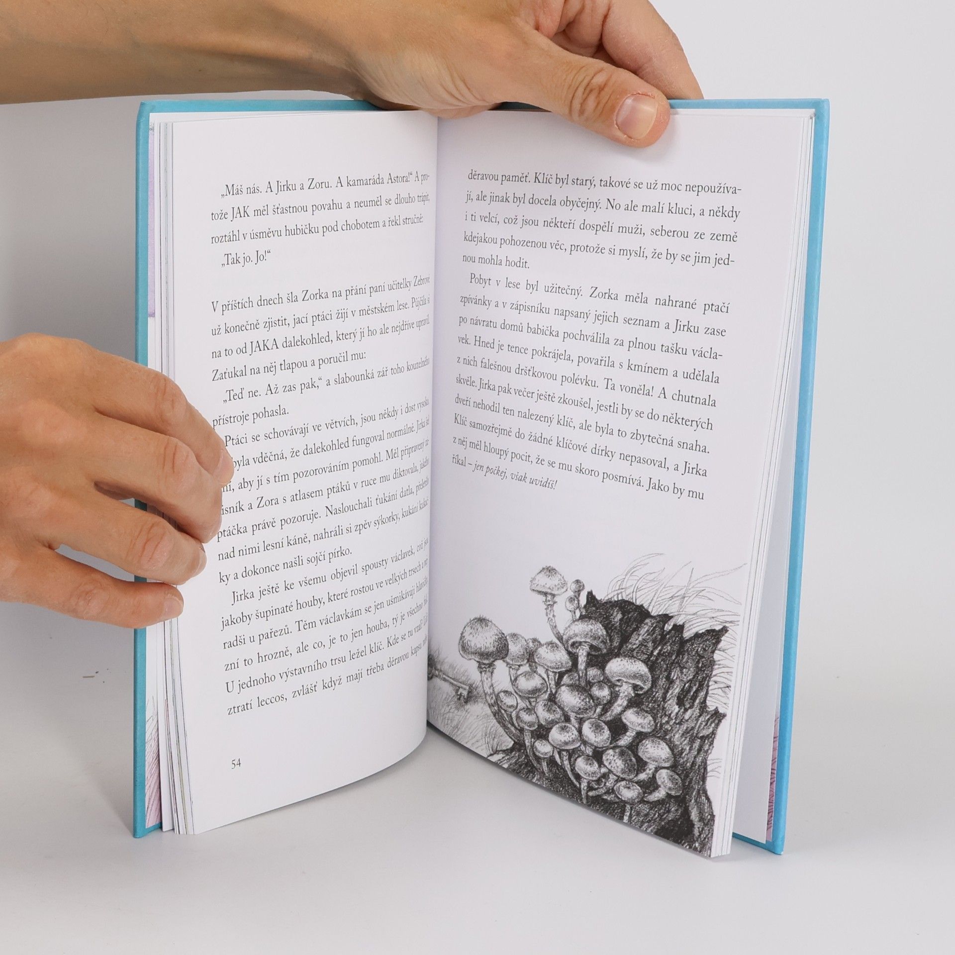 Věra Nosková Kamarád Jak