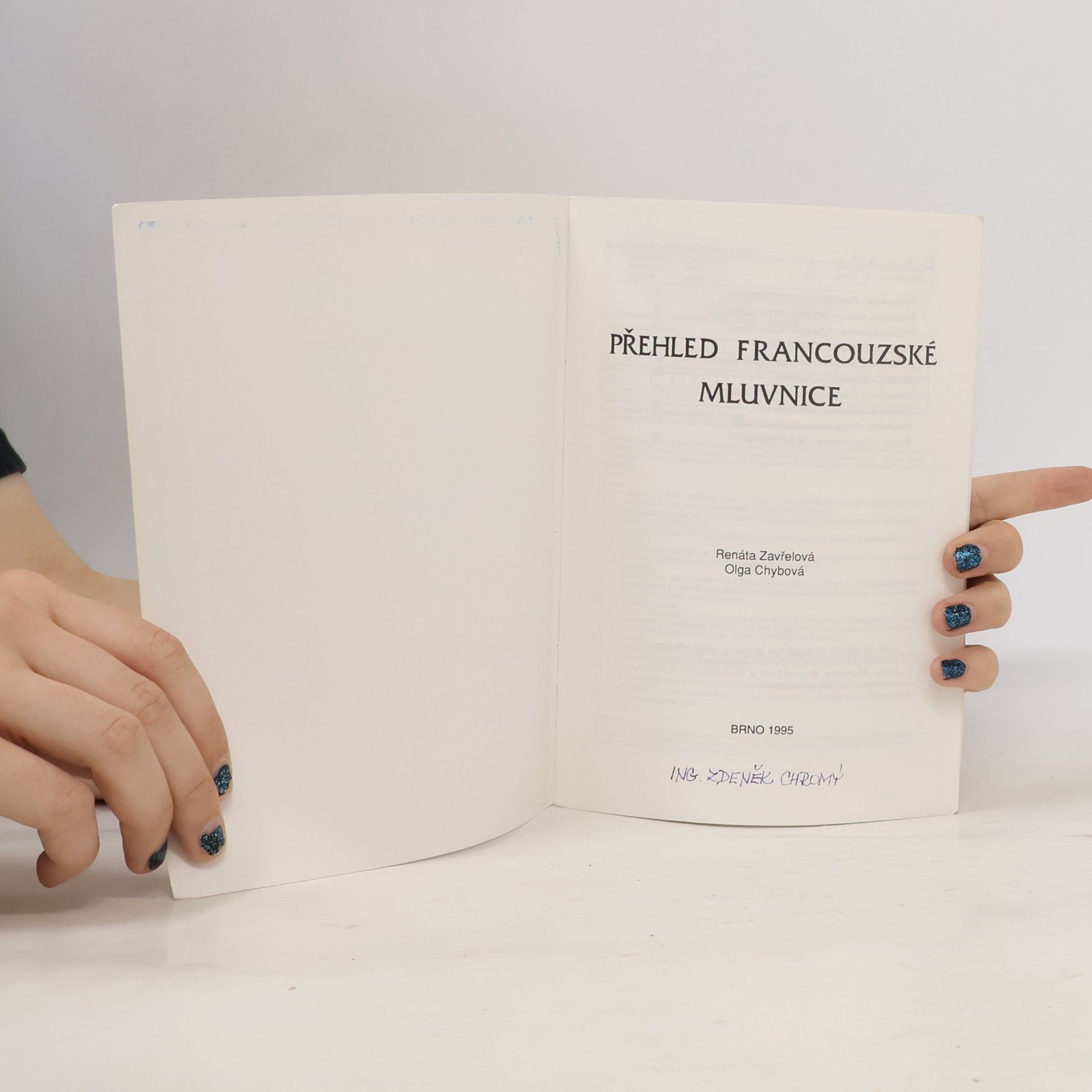 Auteurscollectief Přehled francouzské mluvnice