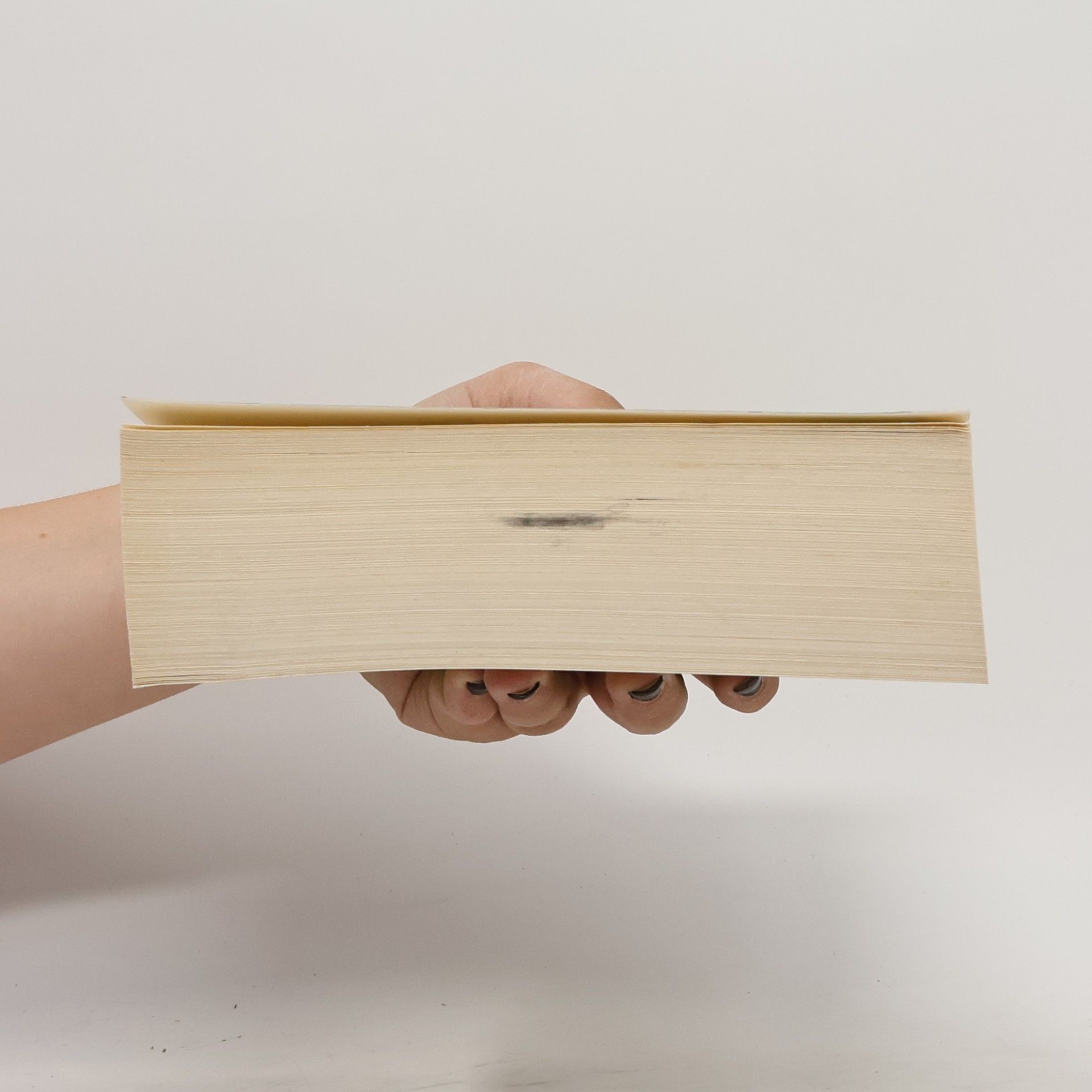 Dean Ray Koontz Der Wächter