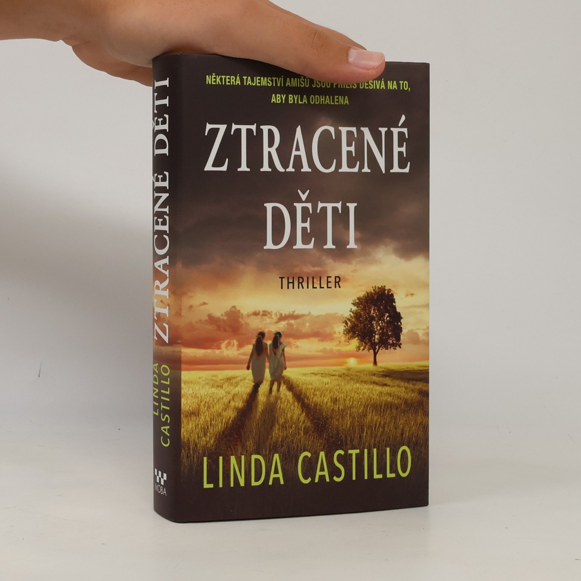 Linda Castillo Ztracené děti