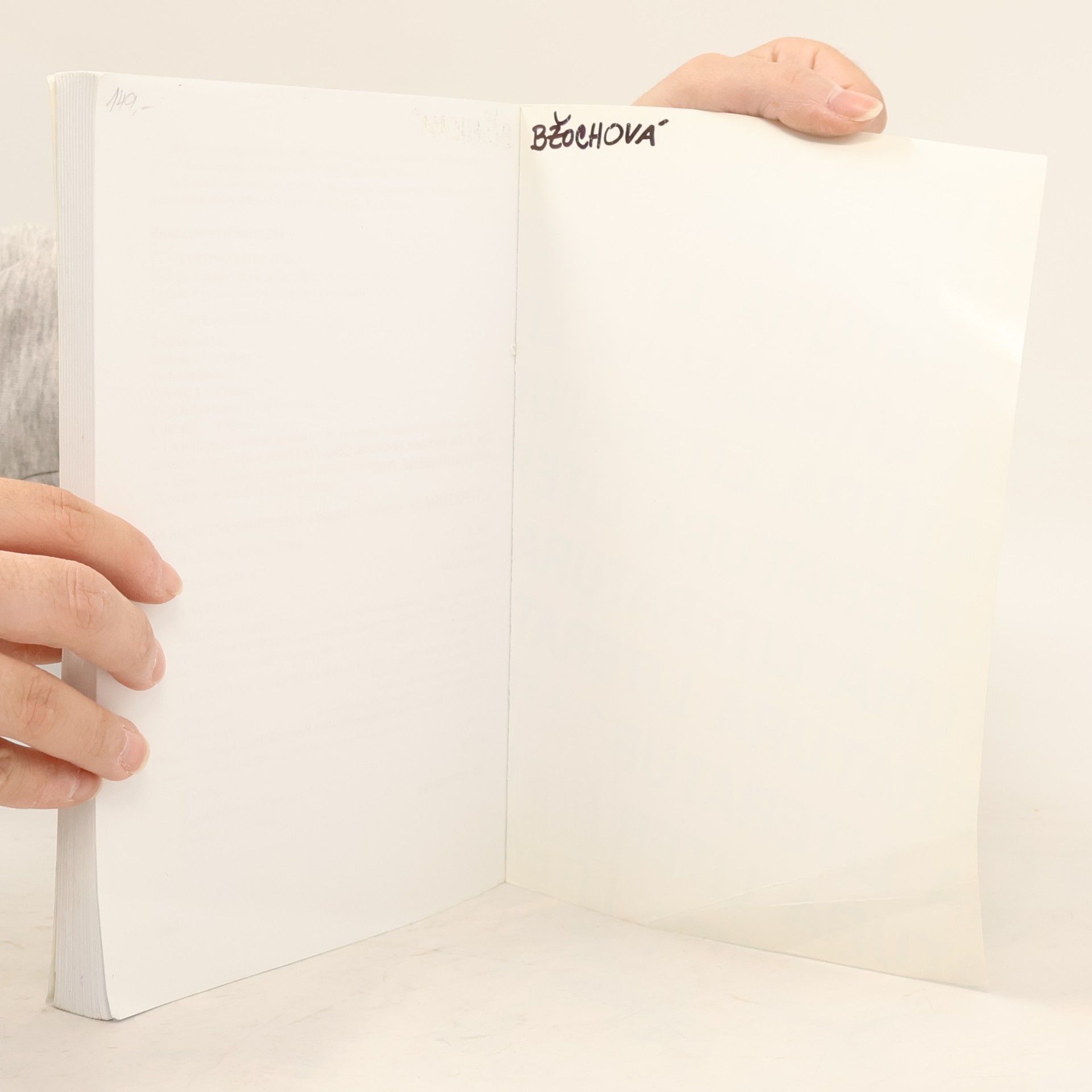 Michaela Hashemi Literatura I, Výklad, interpretace, literární teorie
