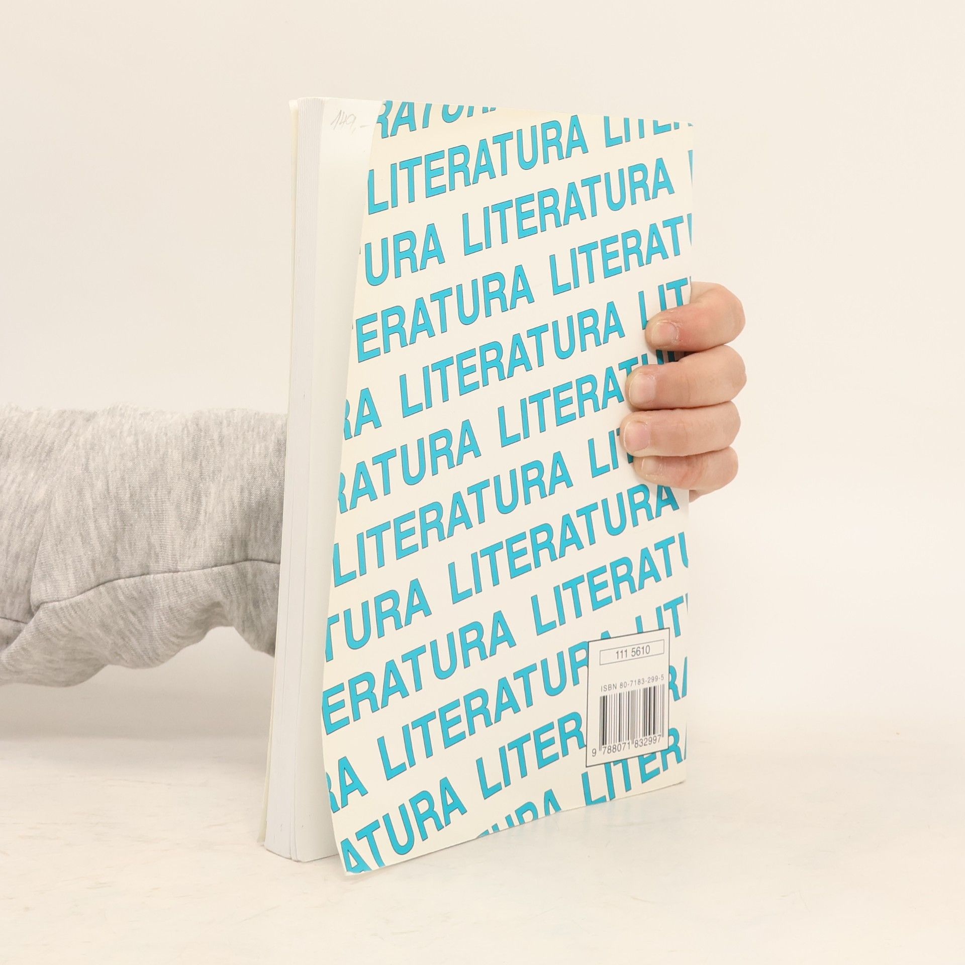 Michaela Hashemi Literatura I, Výklad, interpretace, literární teorie