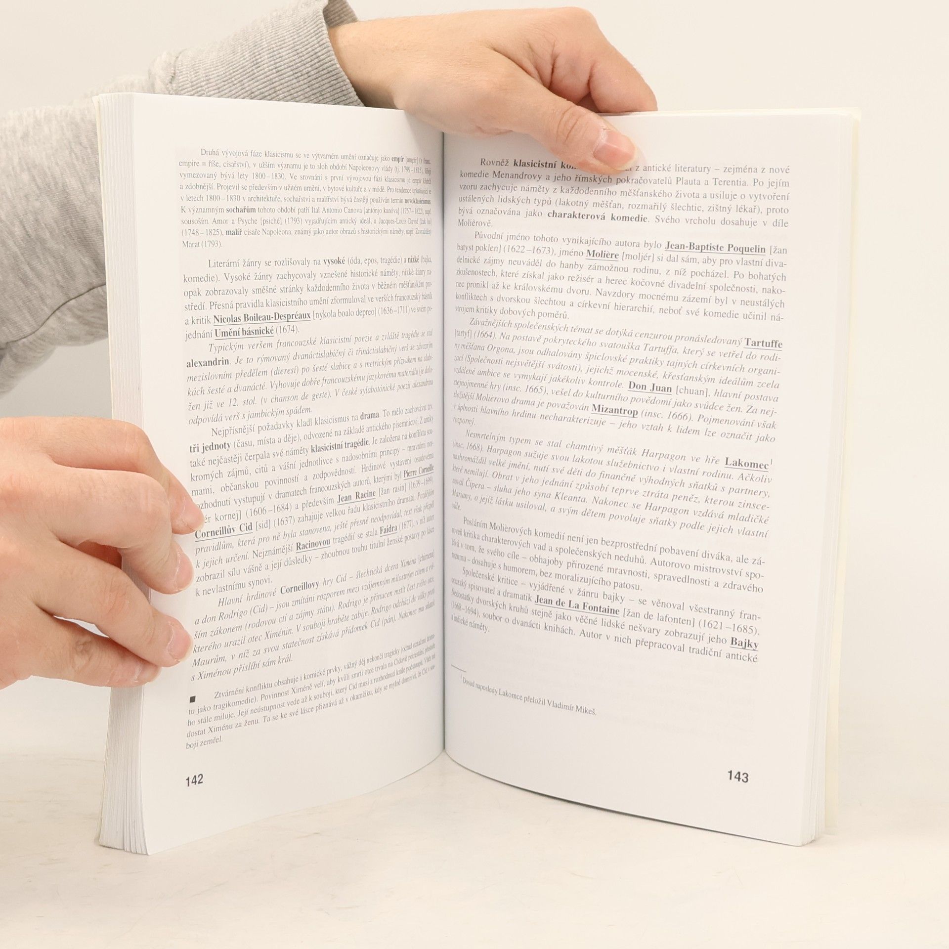 Michaela Hashemi Literatura I, Výklad, interpretace, literární teorie