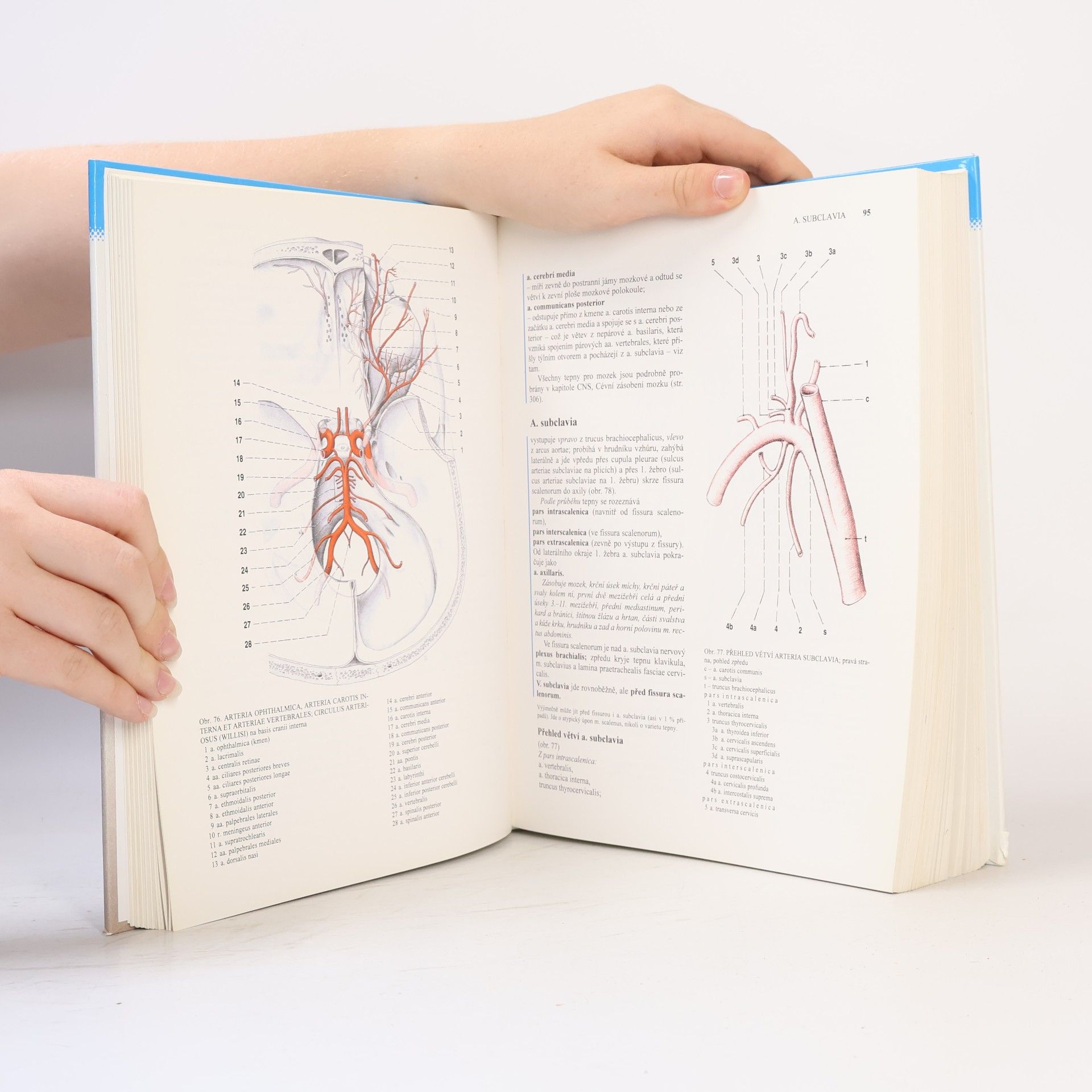 Radomír Čihák Anatomie 3