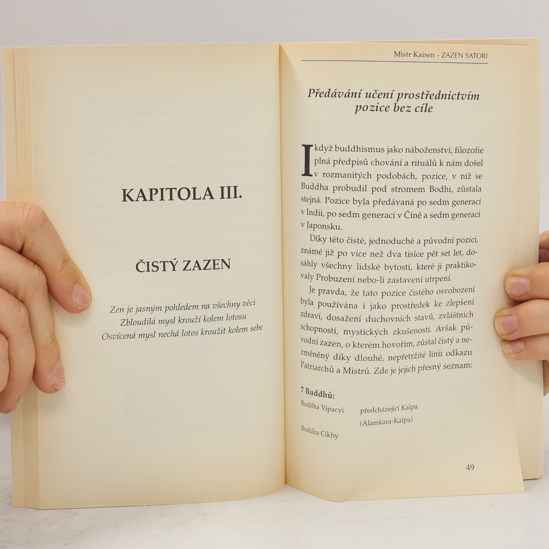 Kaisen Zazen satori