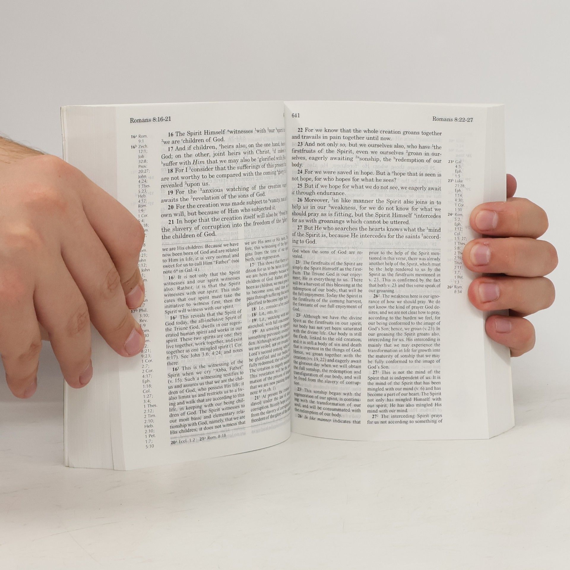 Autorenkollektiv The New Testament. Recovery Version