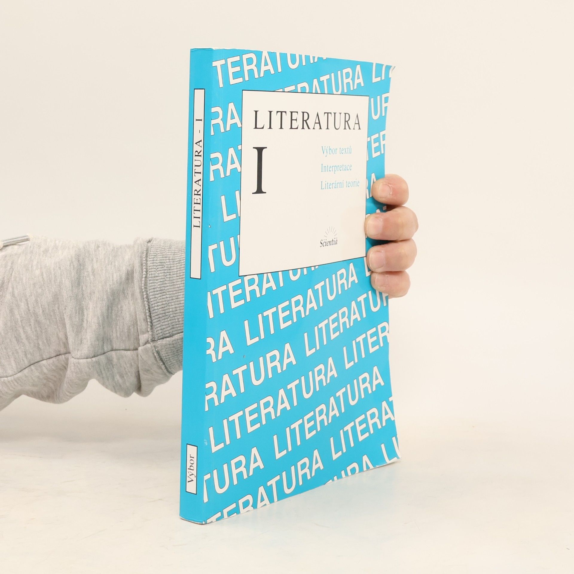 Michaela Soleiman pour Hashemi Literatura I : výbor textů, interpretace, literární teorie