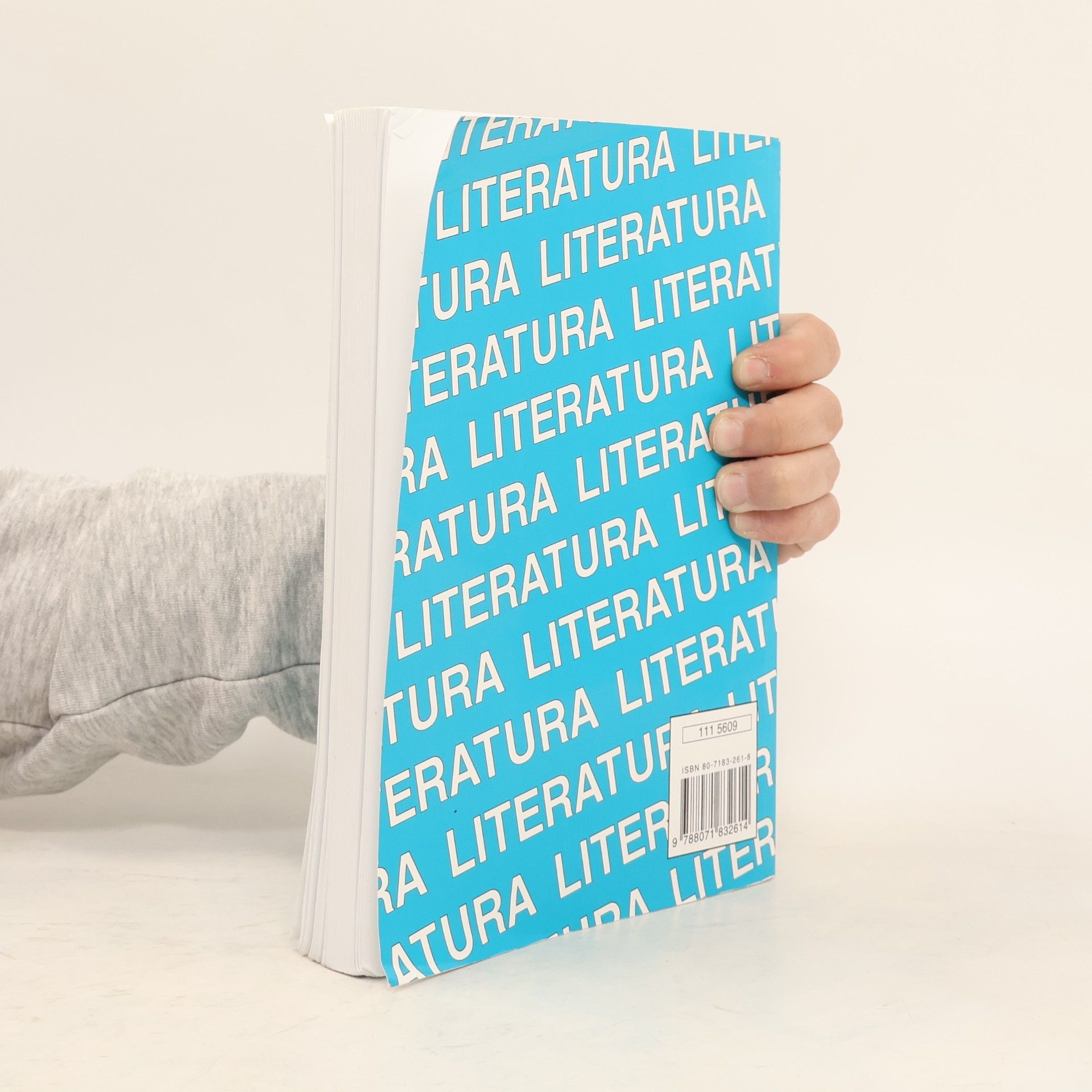 Michaela Soleiman pour Hashemi Literatura I : výbor textů, interpretace, literární teorie