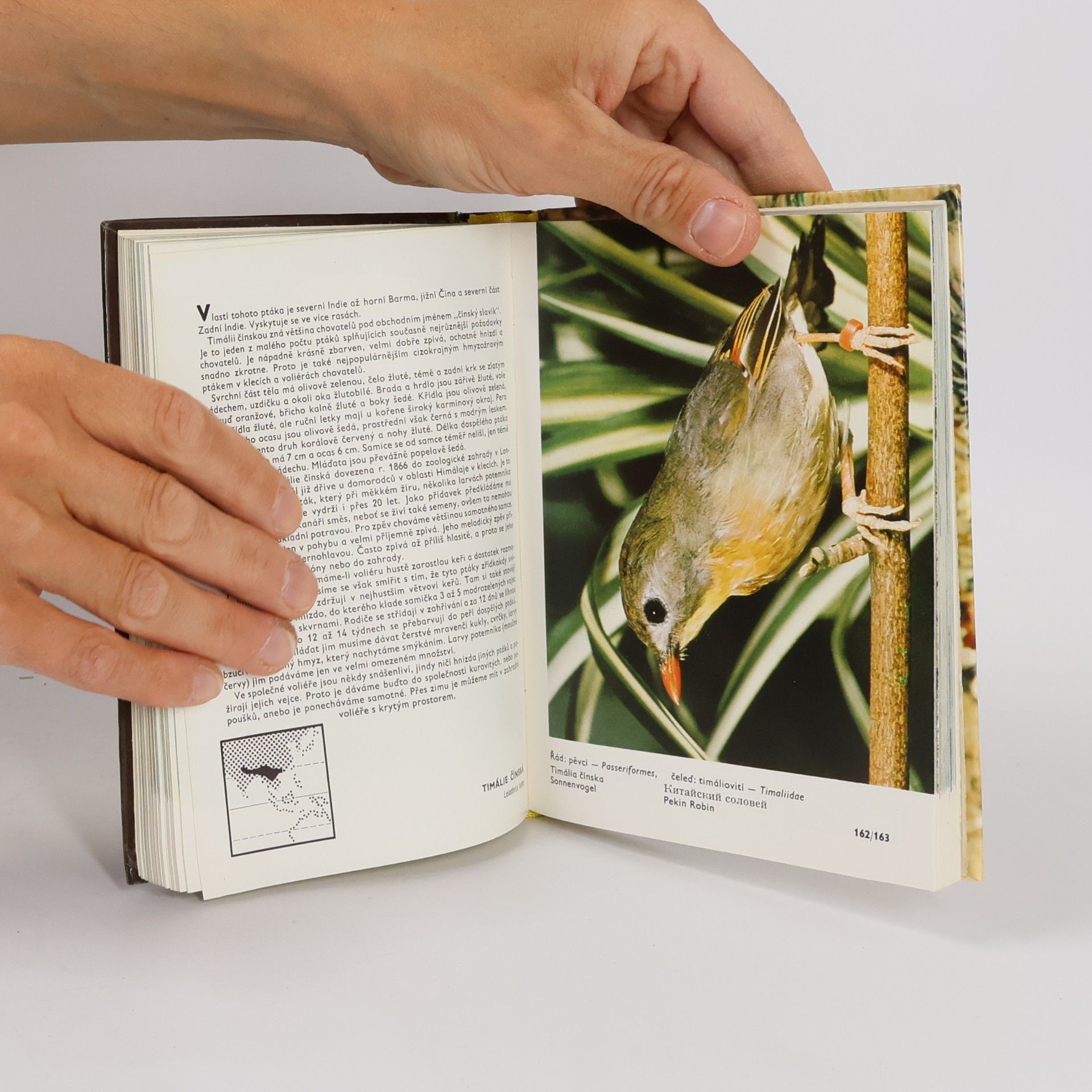 Zdeněk Veger Kapesní atlas cizokrajných ptáků