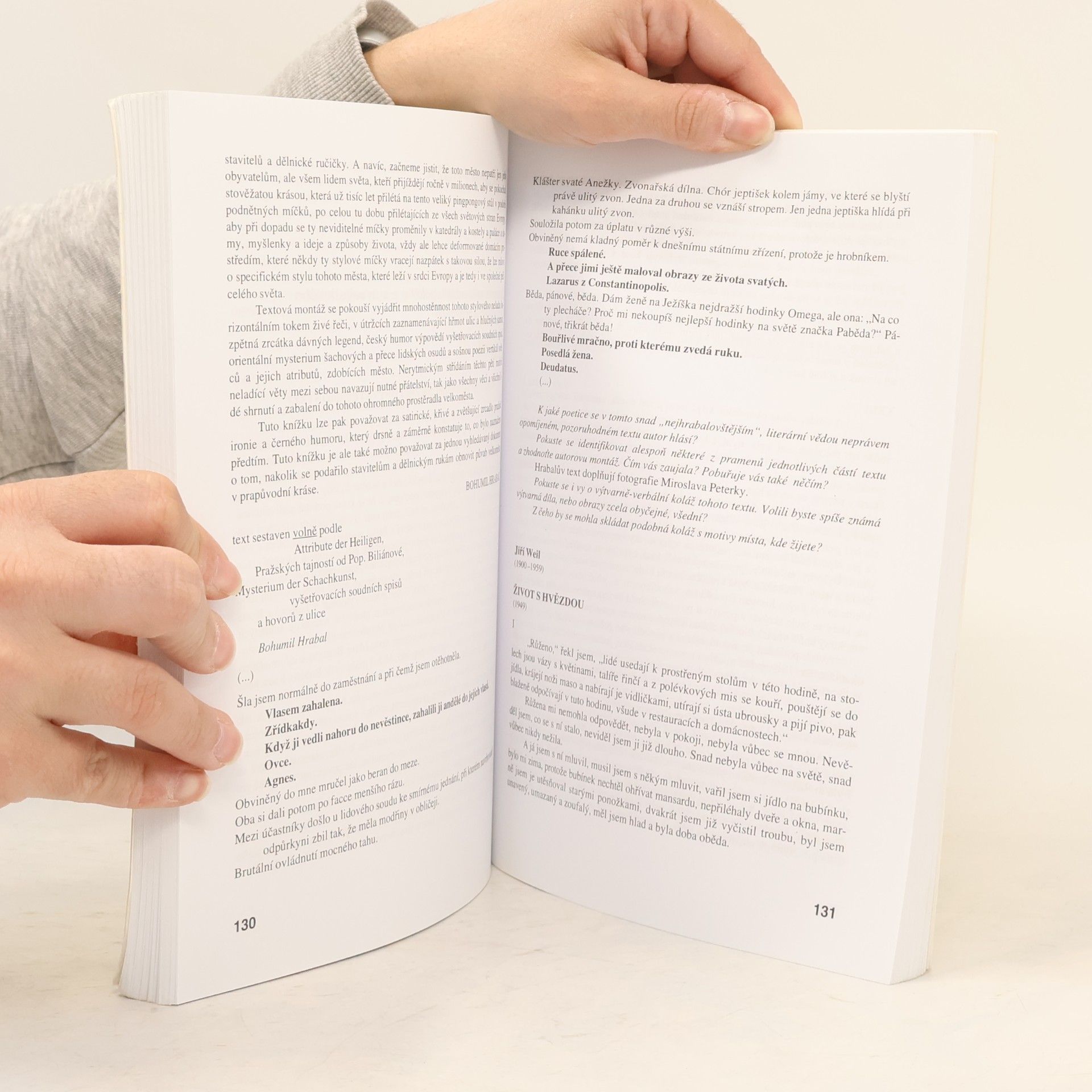Bohuslav Hoffmann Literatura IV. Výbor textů, interpretace, literární teorie