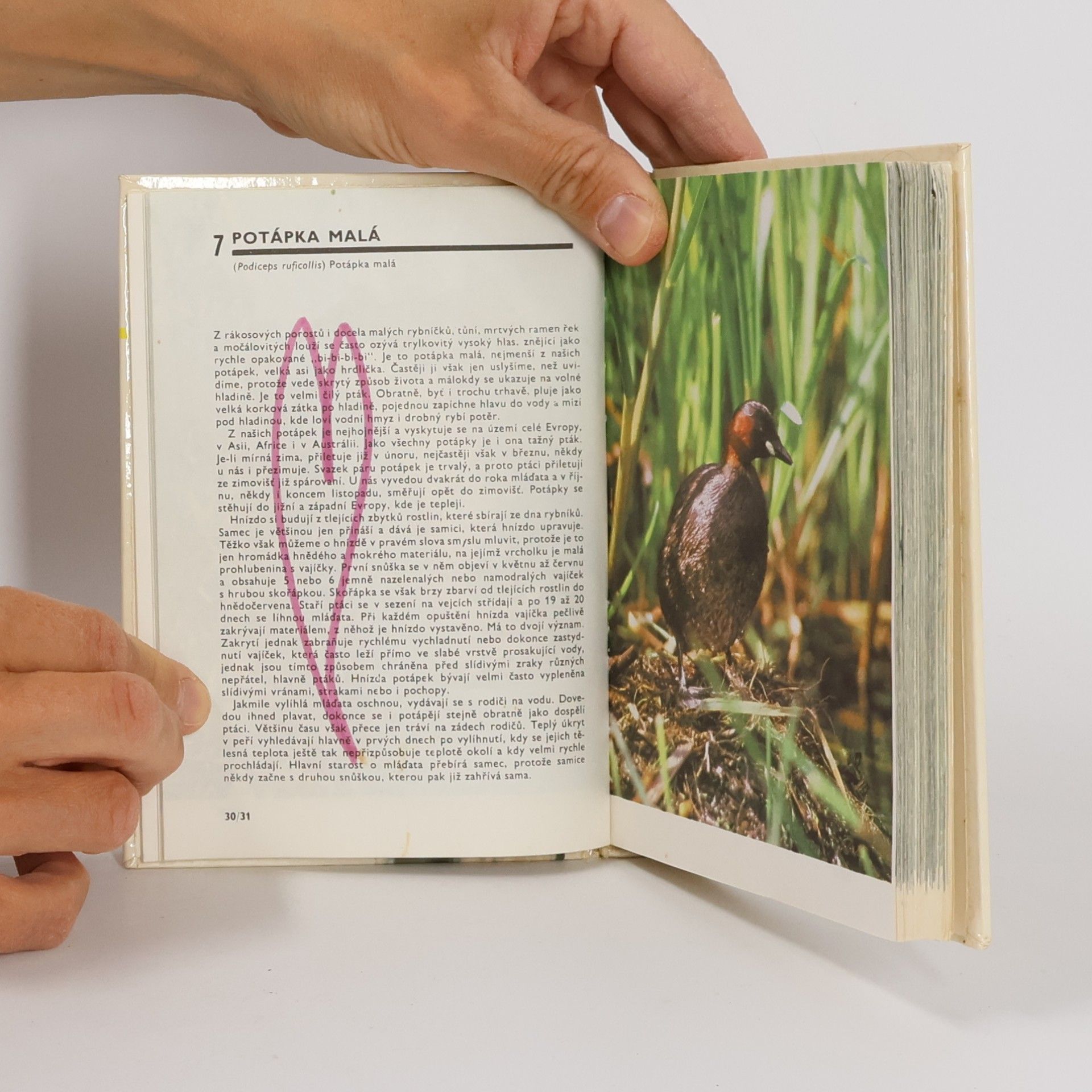 Otakar Procházka Kapesní atlas ptáků