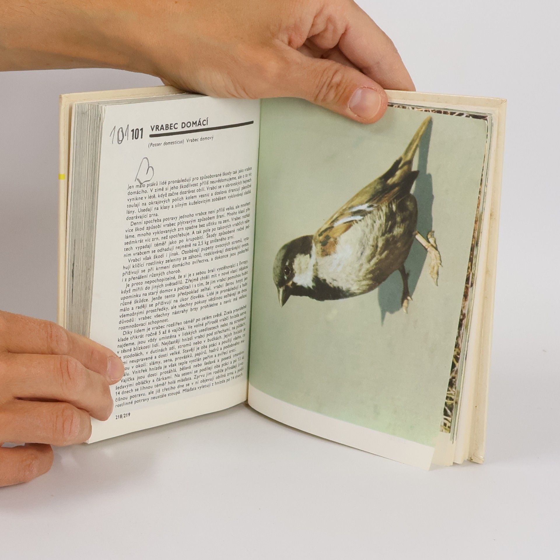 Otakar Procházka Kapesní atlas ptáků