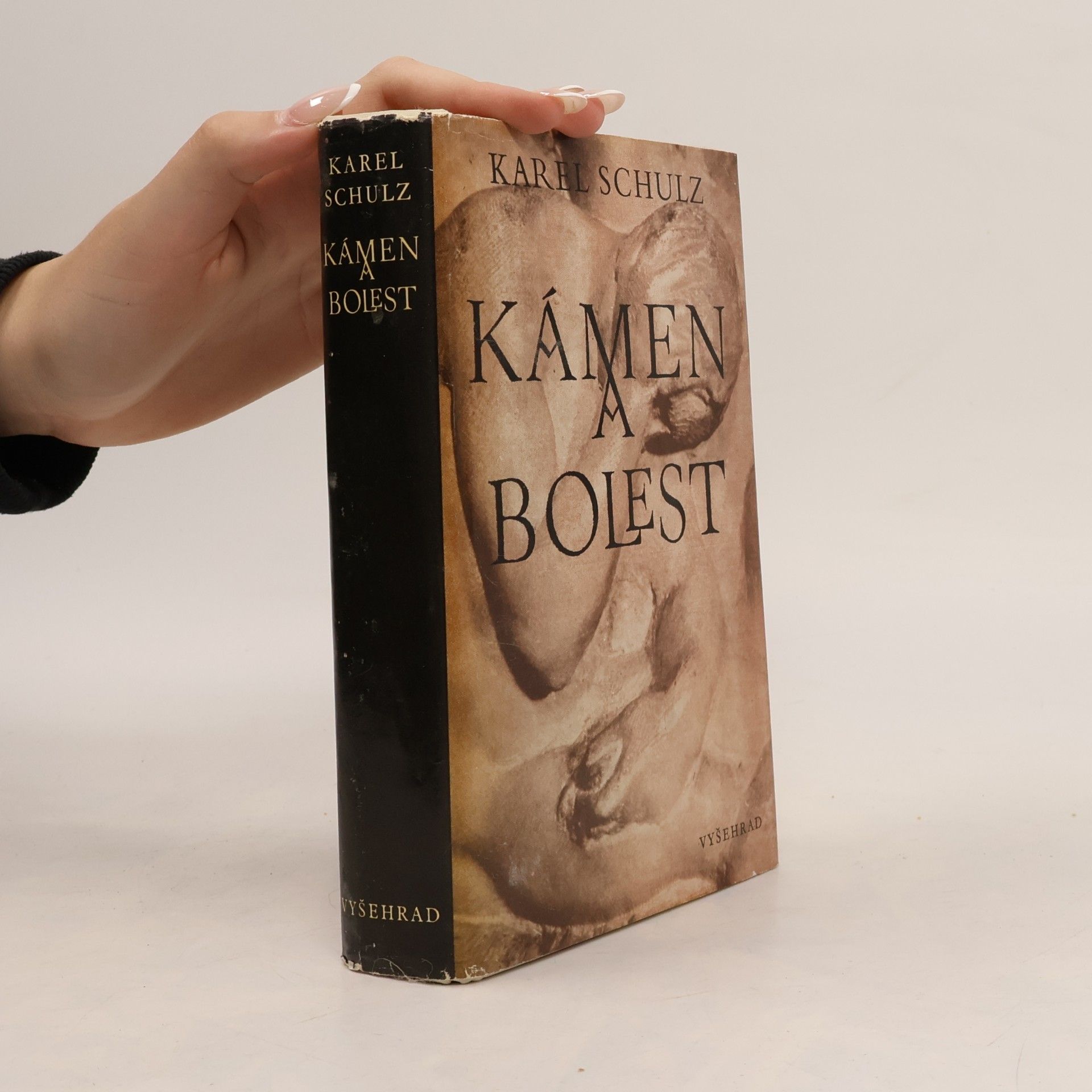 Karel Schulz Kámen a bolest