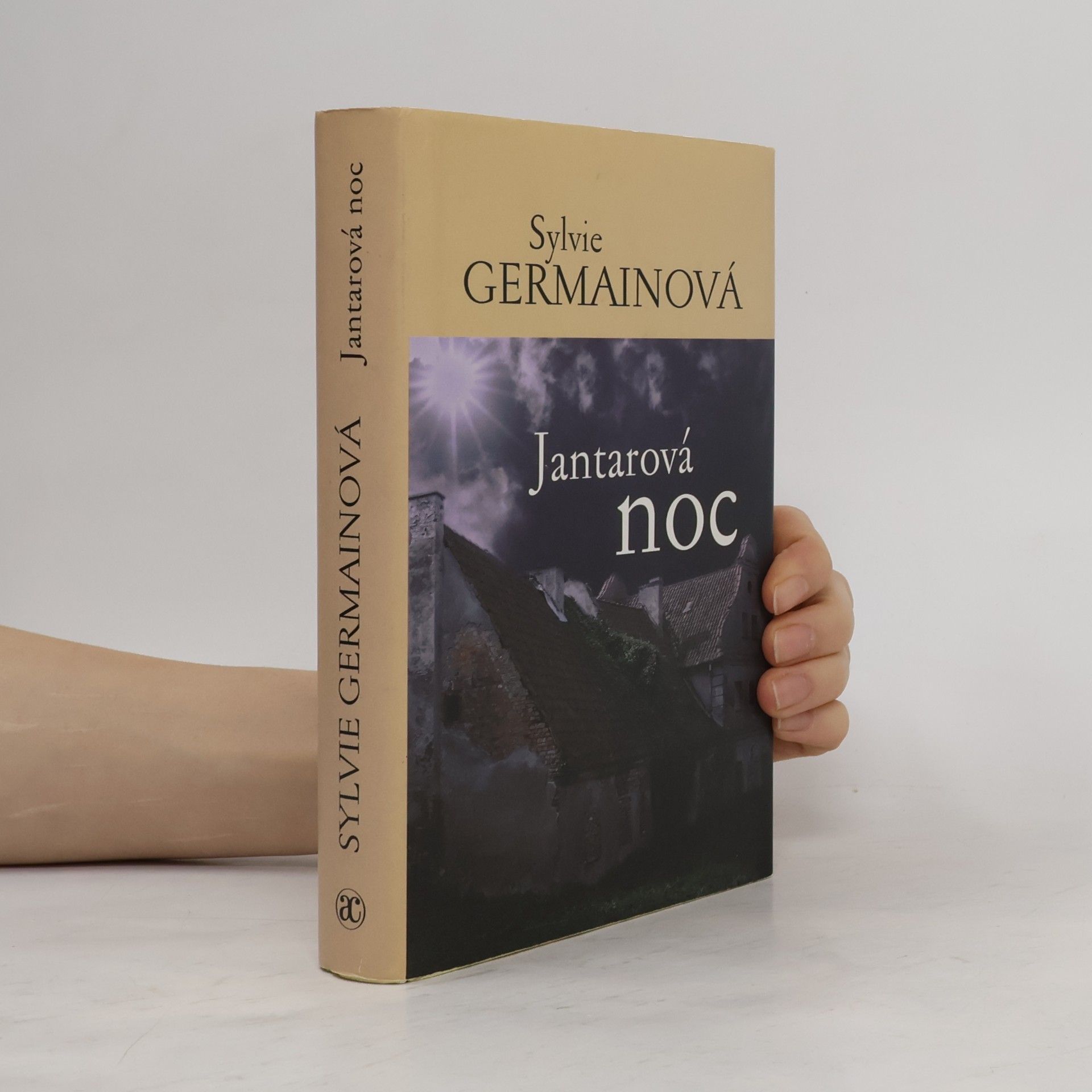 Sylvie Germain Jantarová noc