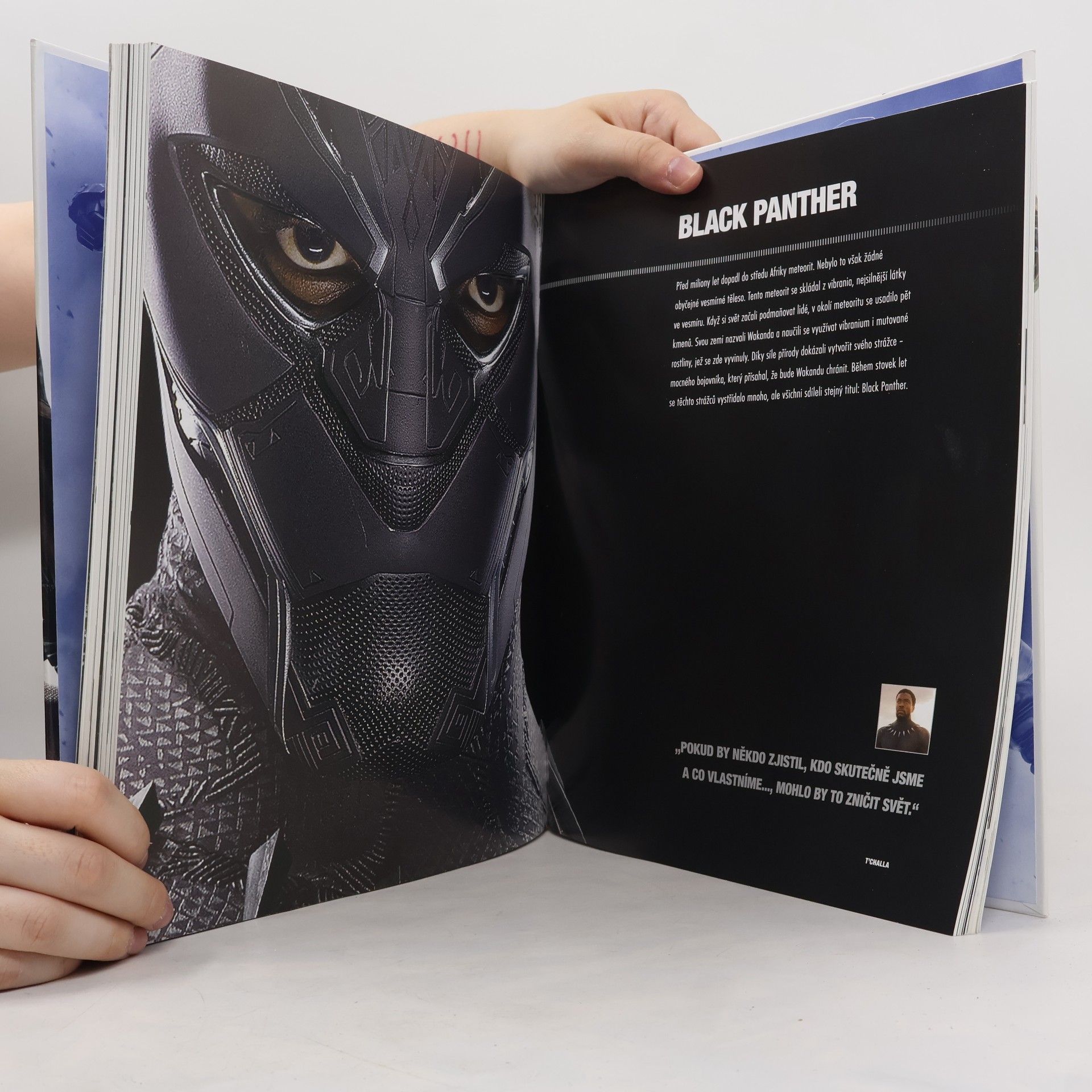 Adam Bray Marvel Studios: Obrazový průvodce