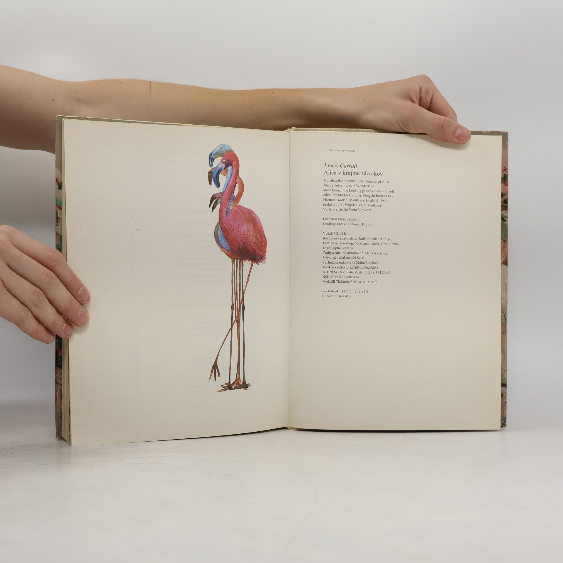 Lewis Carroll Alica v krajine zázrakov