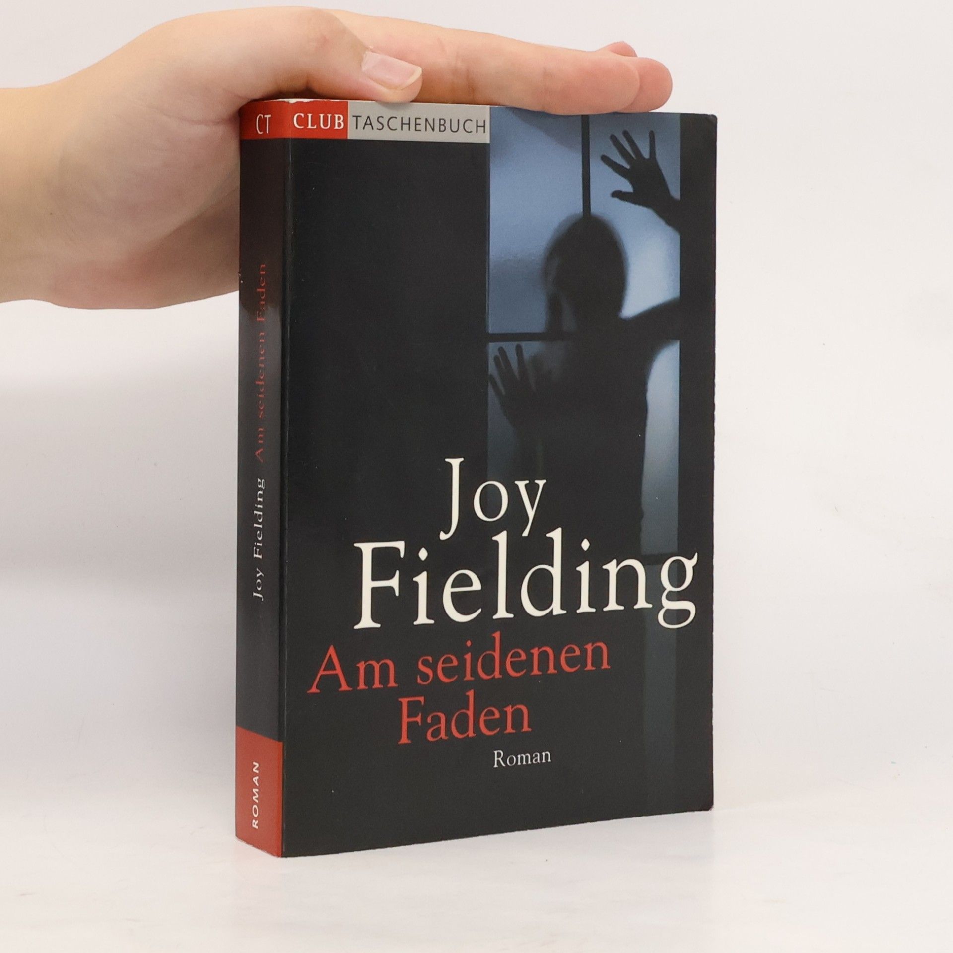 Joy Fielding Am Seidenen Faden