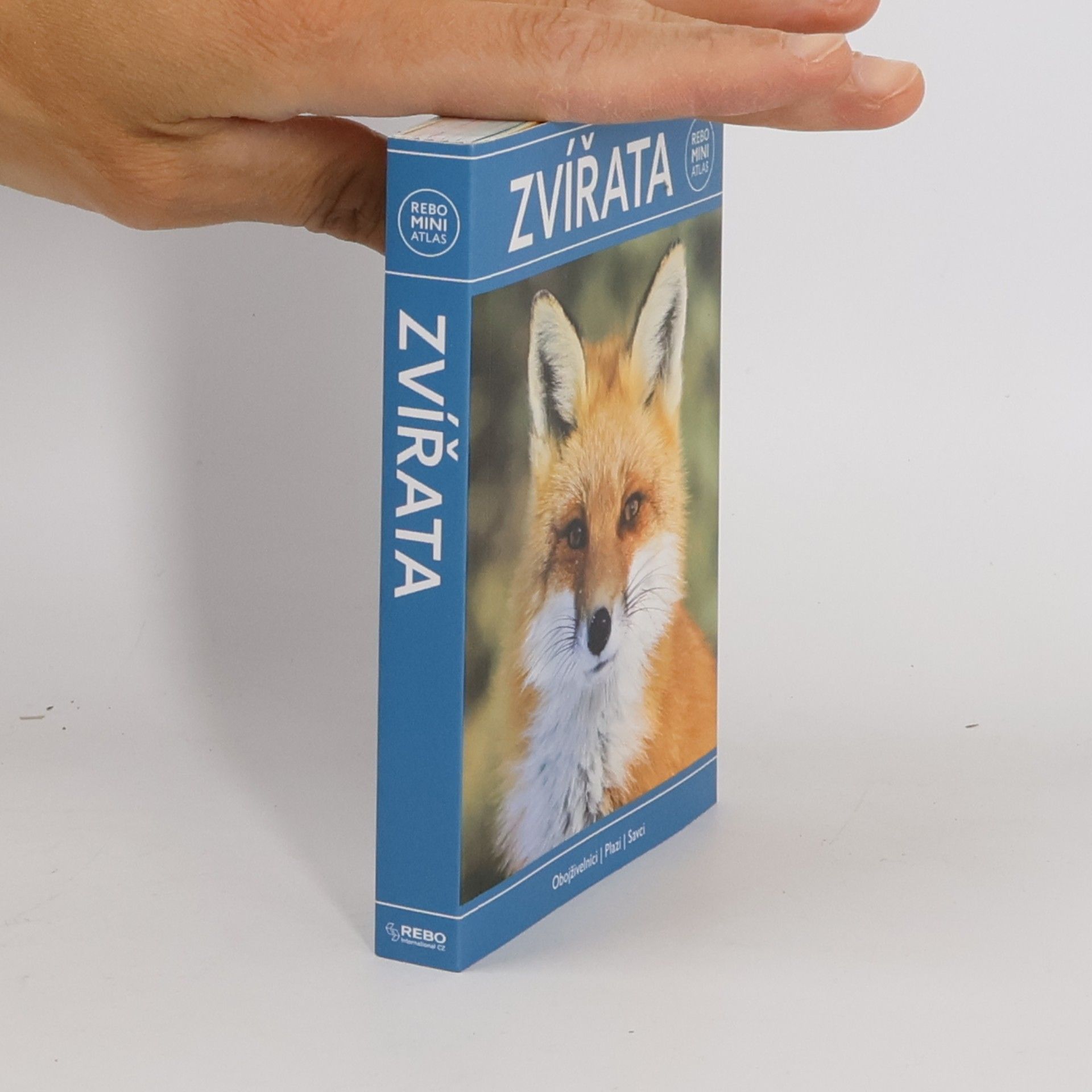 Zvířata