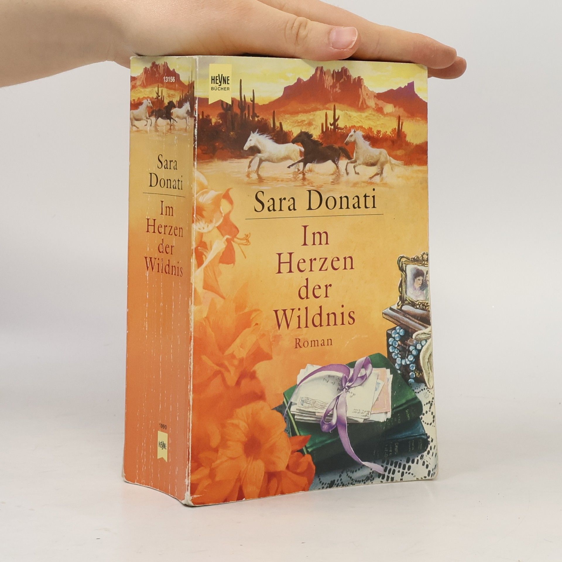 Sara Donati Im Herzen der Wildnis