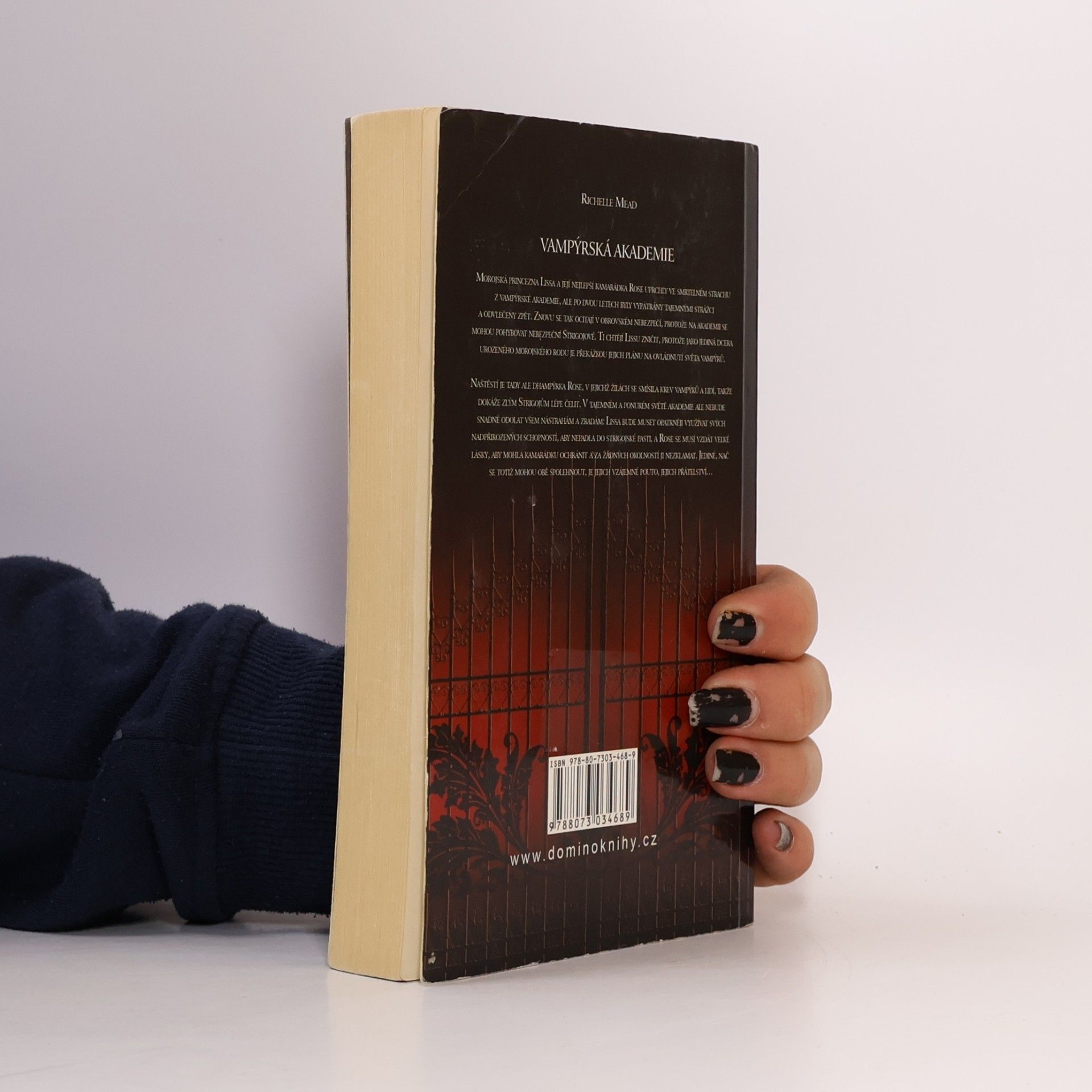 Richelle Mead Vampýrská akademie