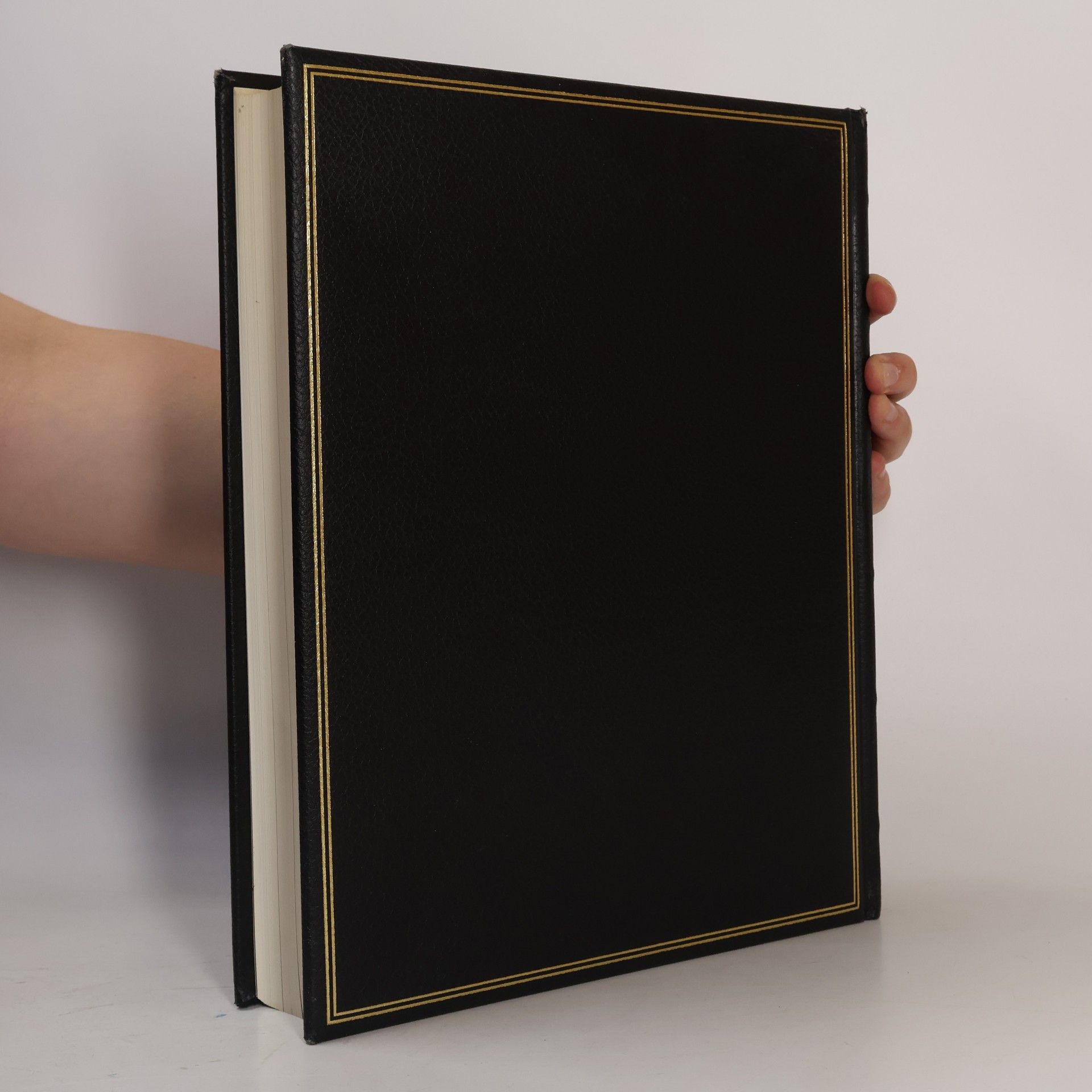 Antonia Meiners Brockhaus. Chronik des 20. Jahrhunderts. Band 22