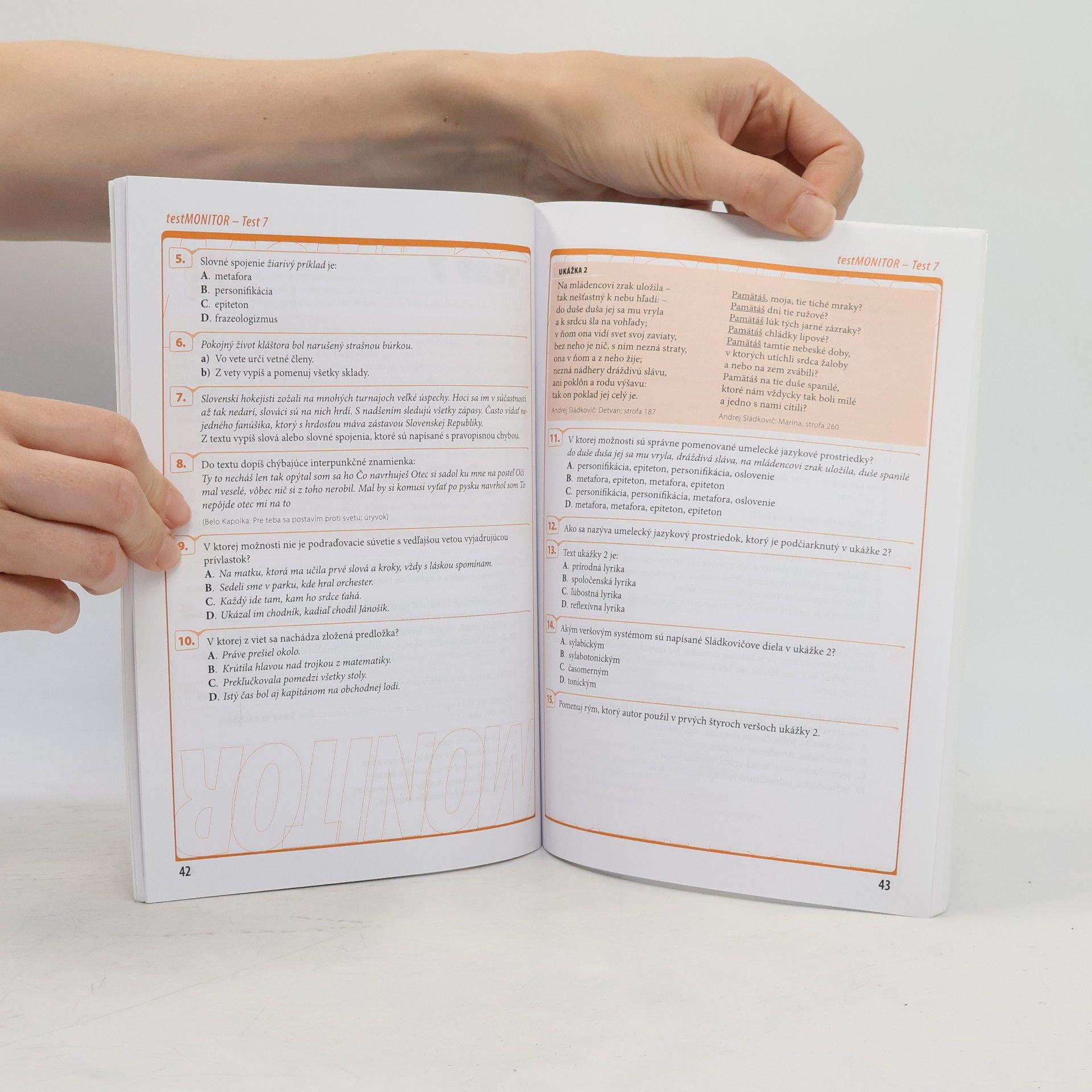 Autorenkollektiv Testy testMONITOR: slovenský jazyk a literatúra