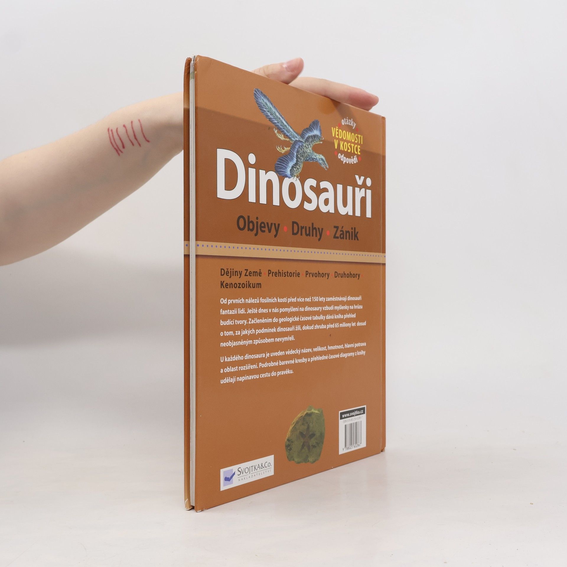 Kolektiv autorů Dinosauři