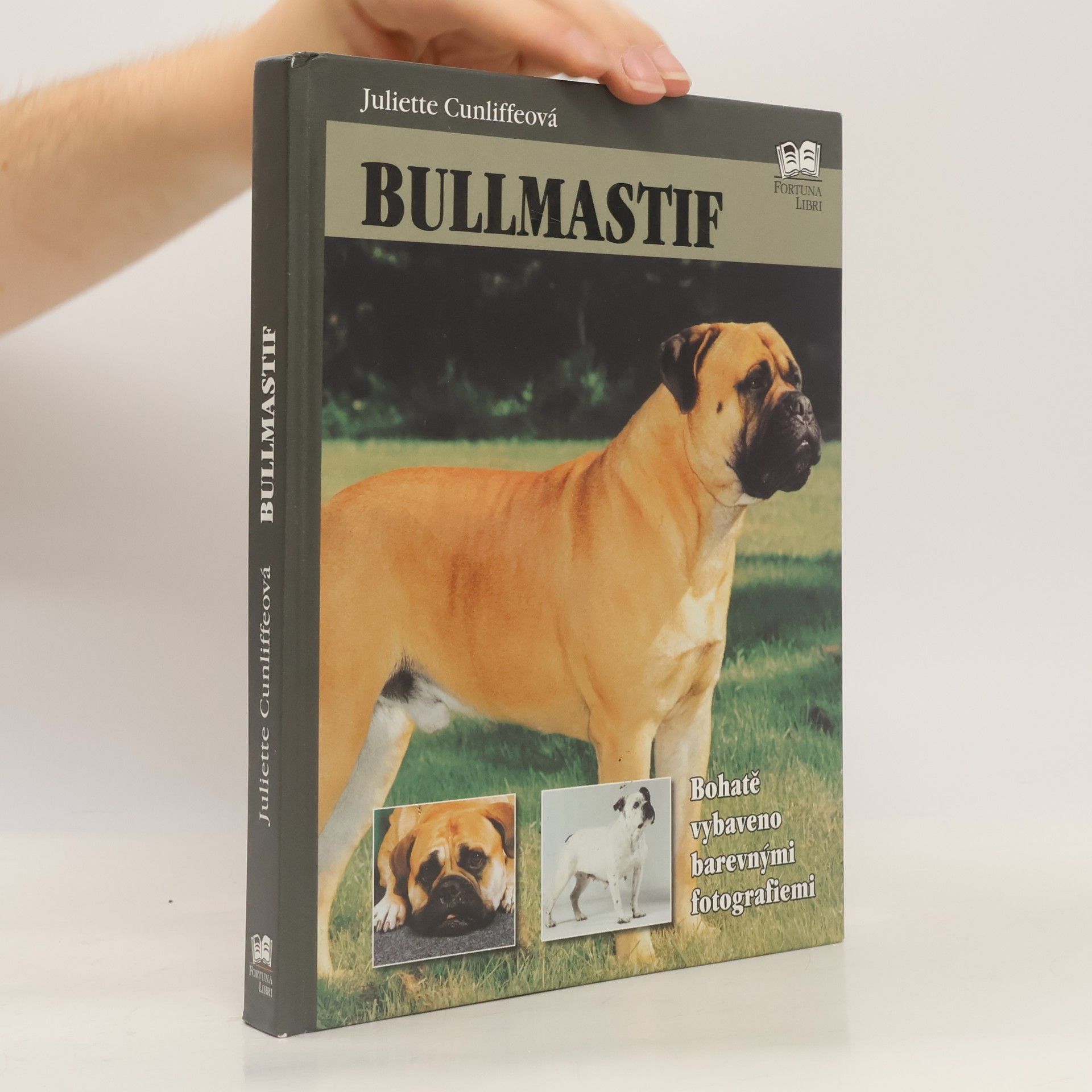 Juliette Cunliffe Bullmastif
