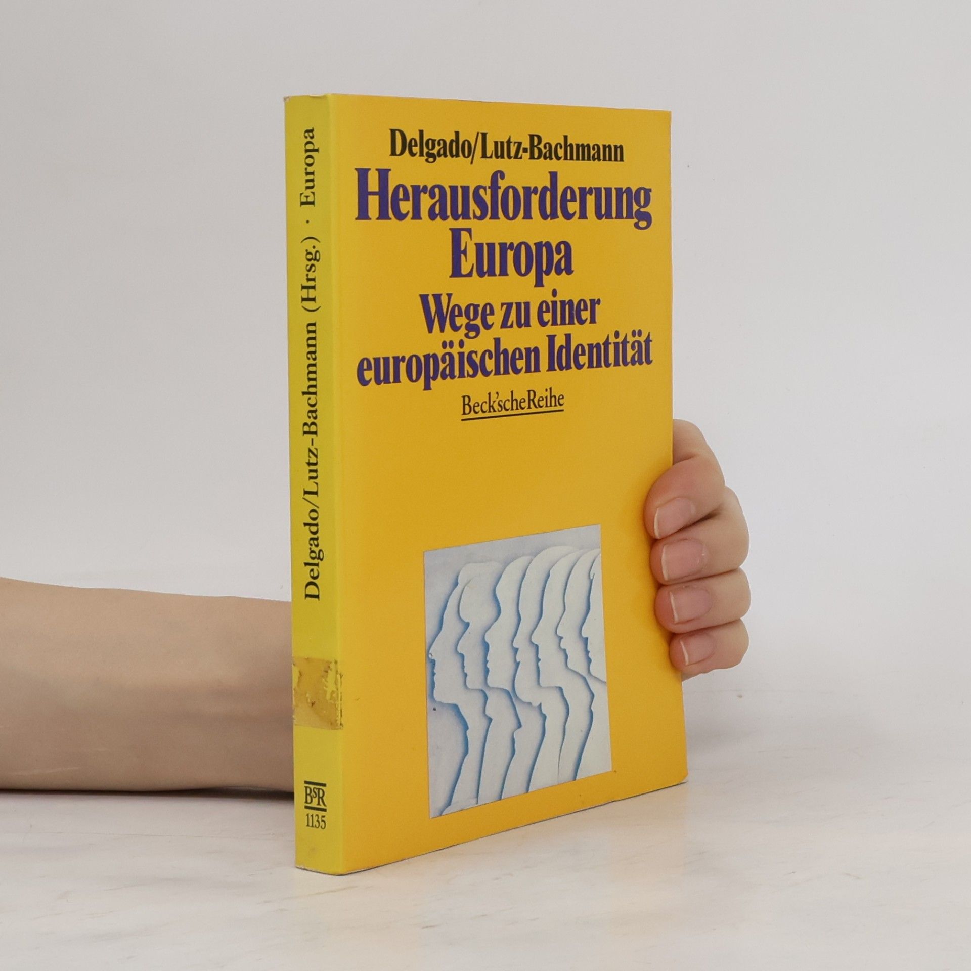 Herausforderung Europa
