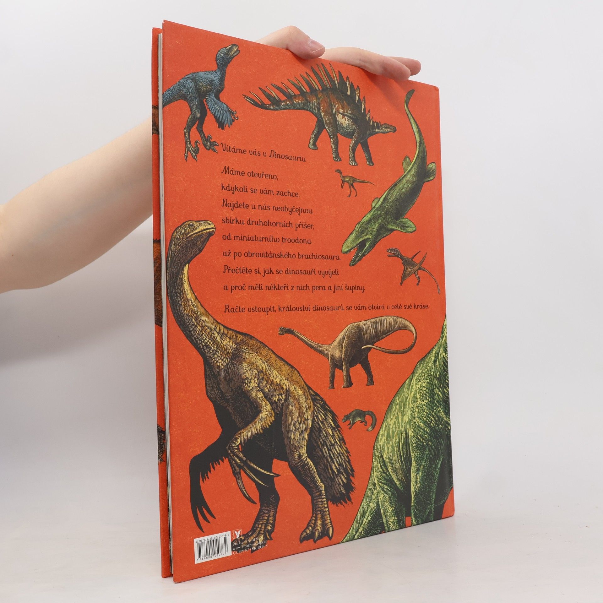 Lily Murray Dinosaurium