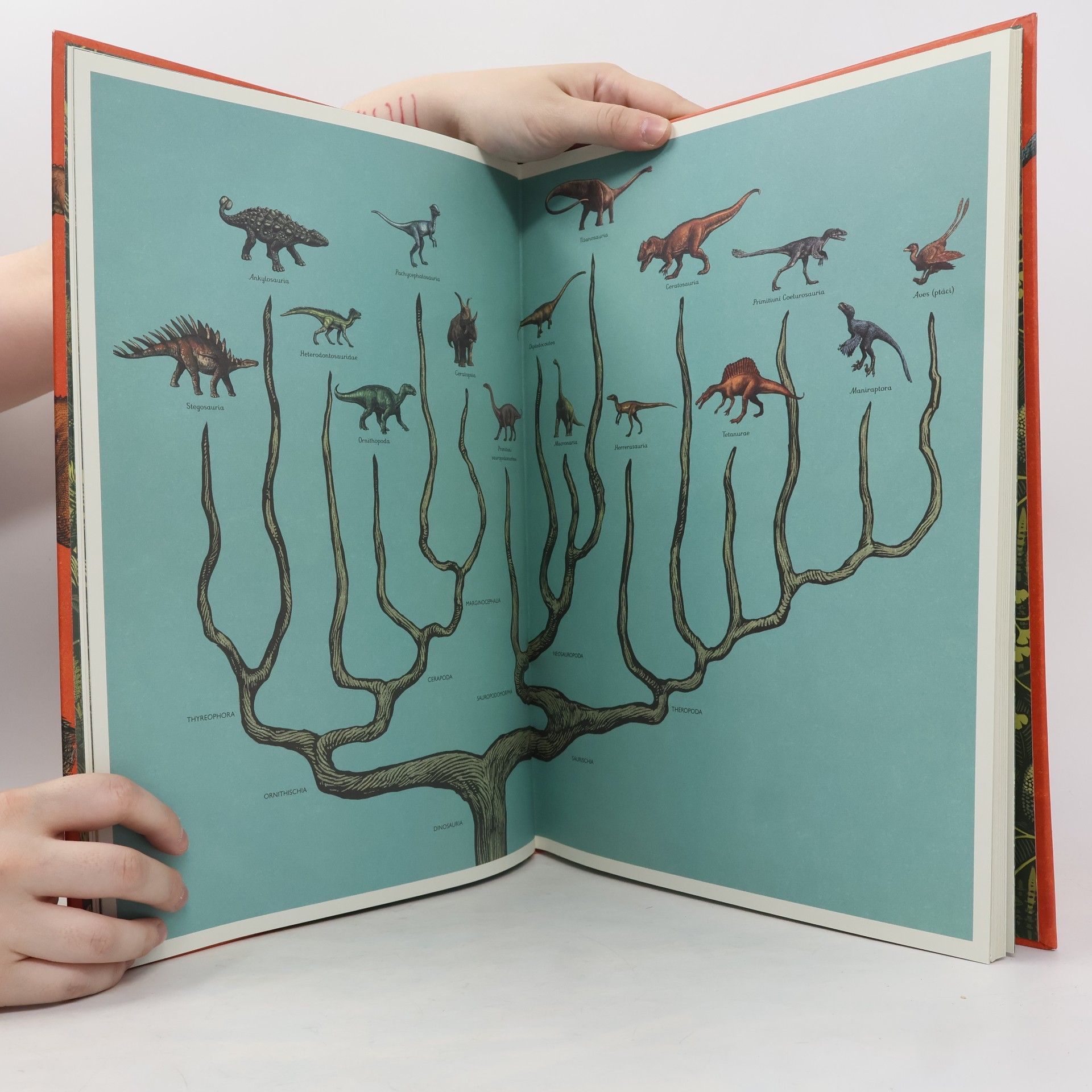 Lily Murray Dinosaurium