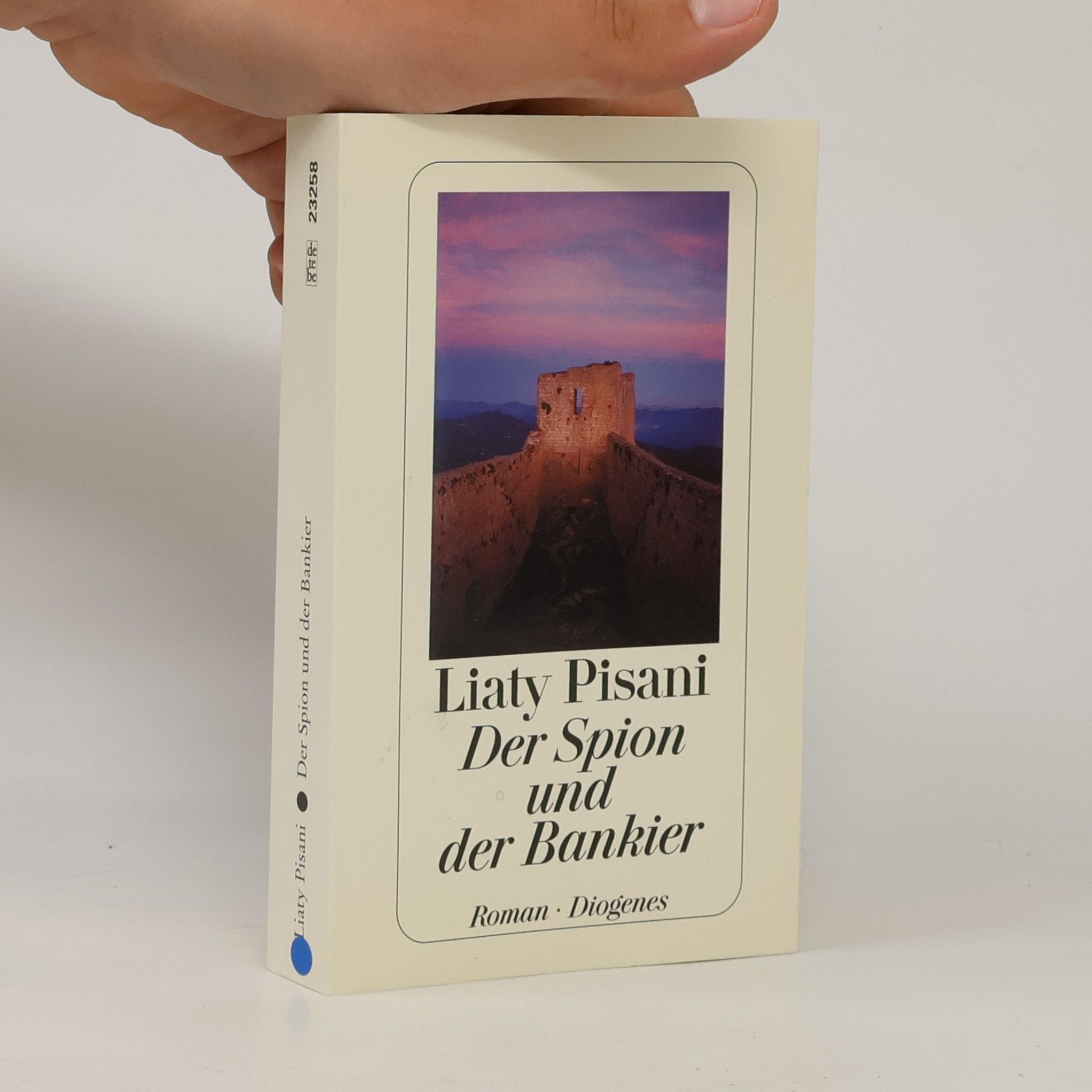 Liaty Pisani Der Spion und der Bankier