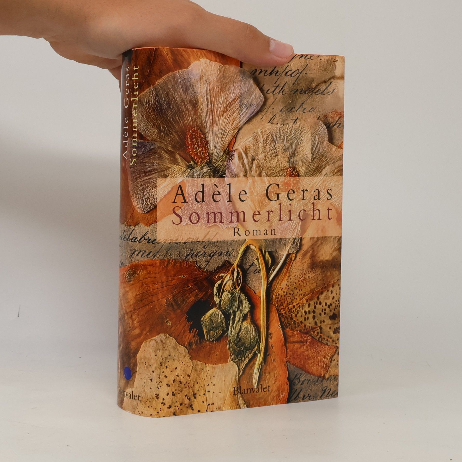 Adèle Geras Sommerlicht