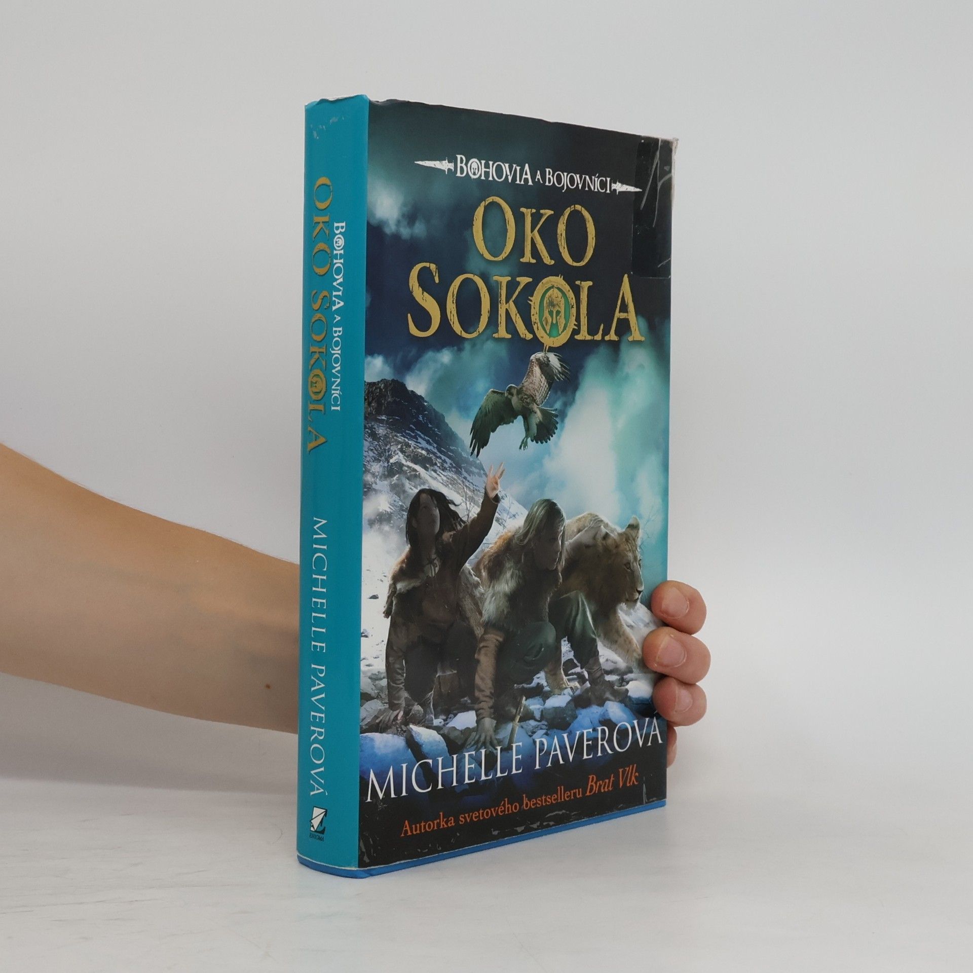 Michelle Paverová Oko sokola